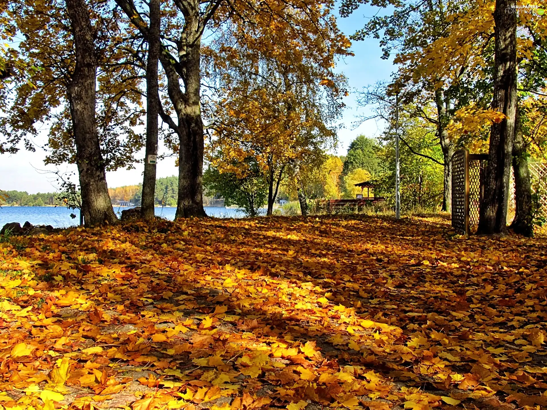 lake, shadows, Leaf, clones, autumn