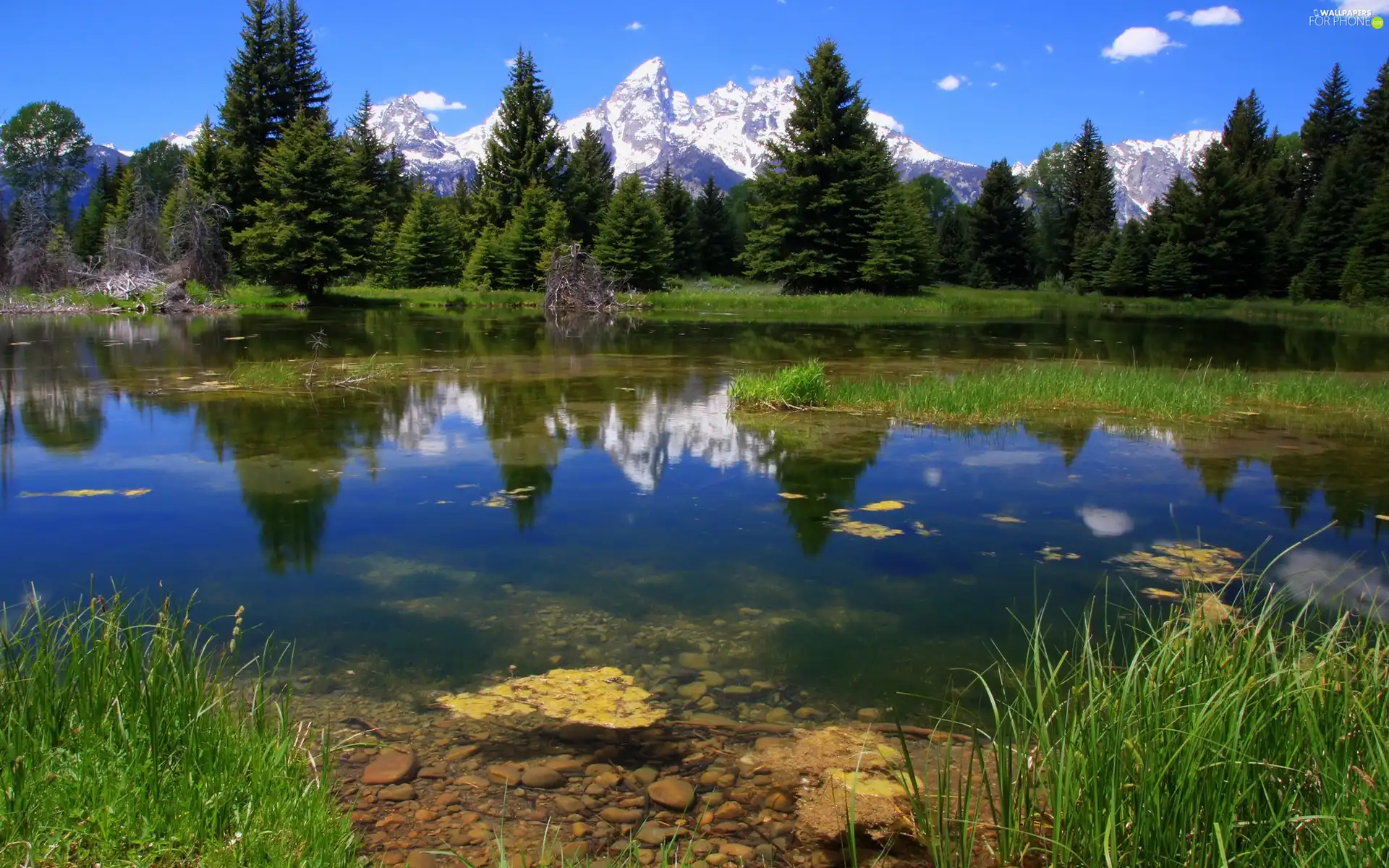 Sky, forest, lake, Mountains