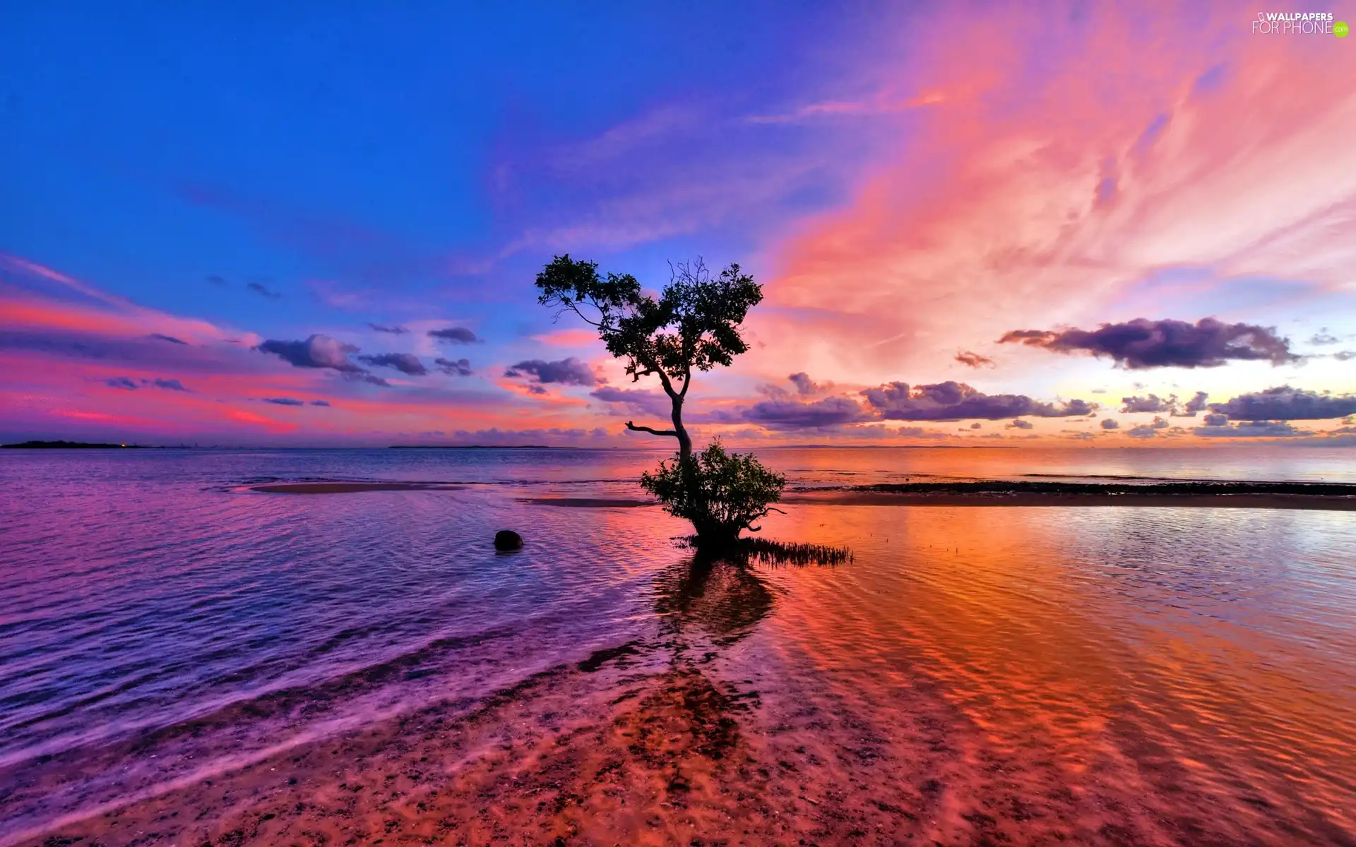 lake, trees, west, sun, clouds