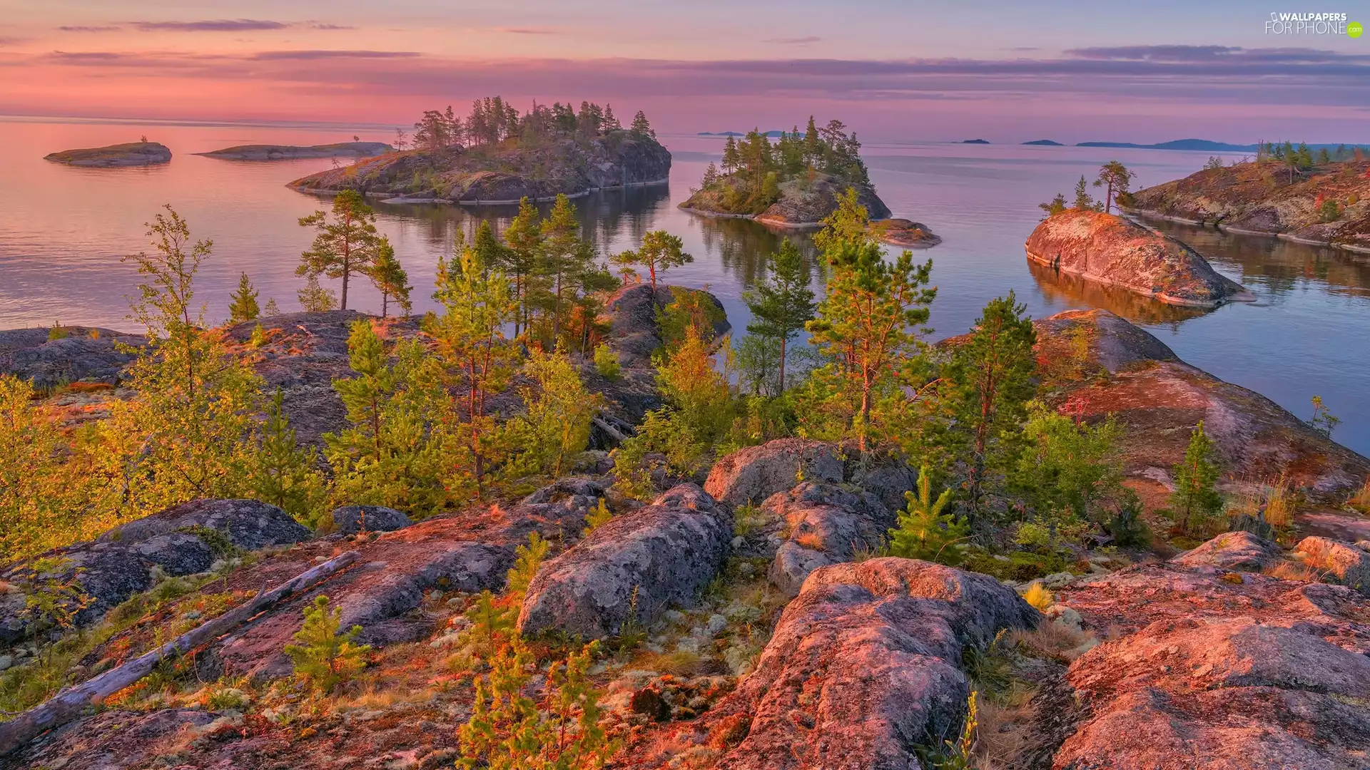 Lake Ladoga, Russia, Islets, rocks, Karelia, Russia, viewes, VEGETATION, trees