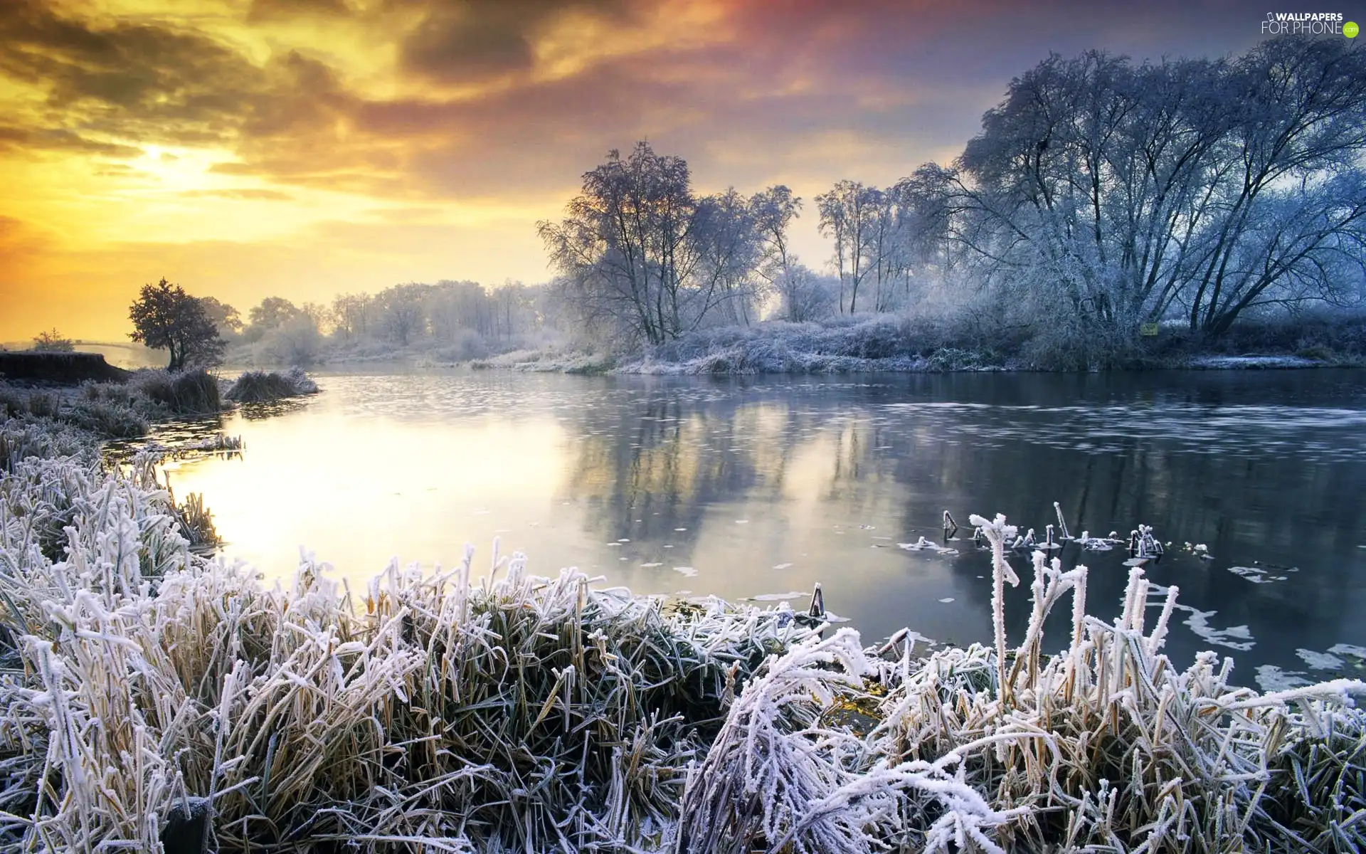 winter, sun, lake, west