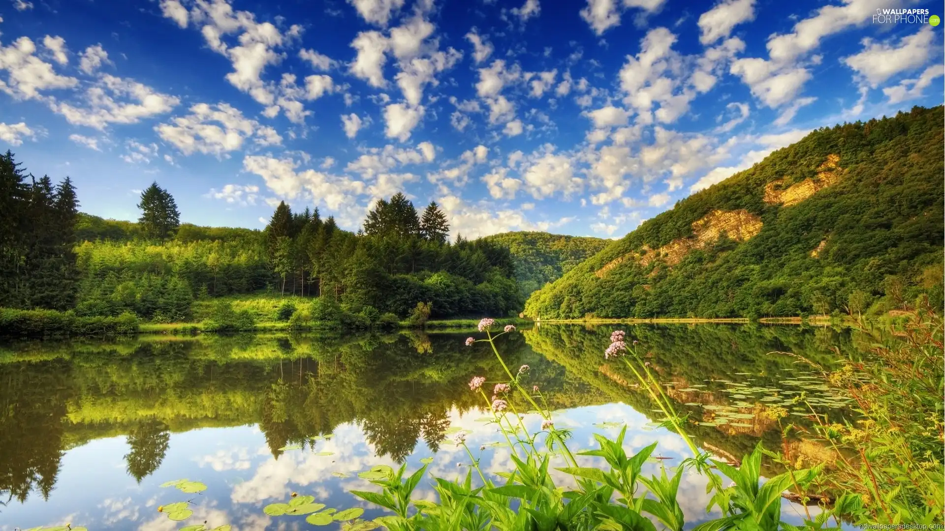 lake, Mountains, woods