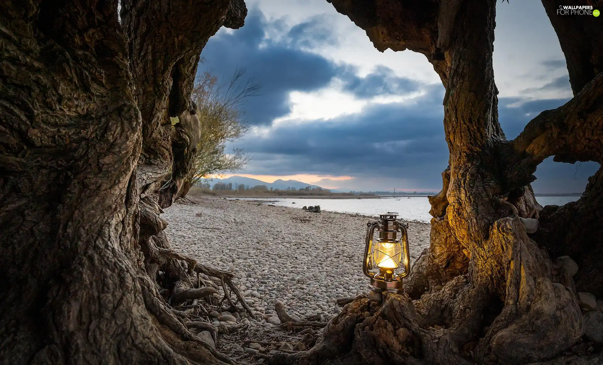 Beaches, roots, sea, Lamp, trees, Stones, clouds
