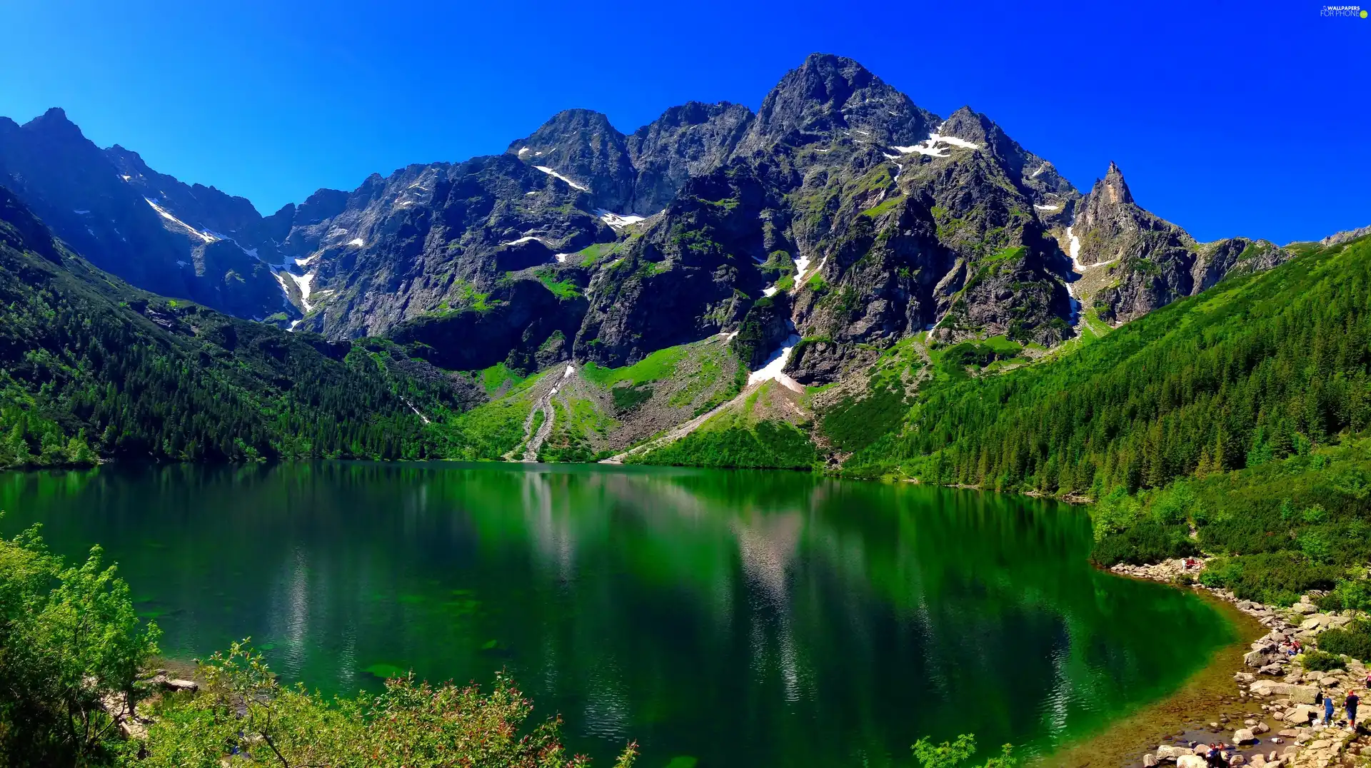 lake, woods, landscape, Mountains