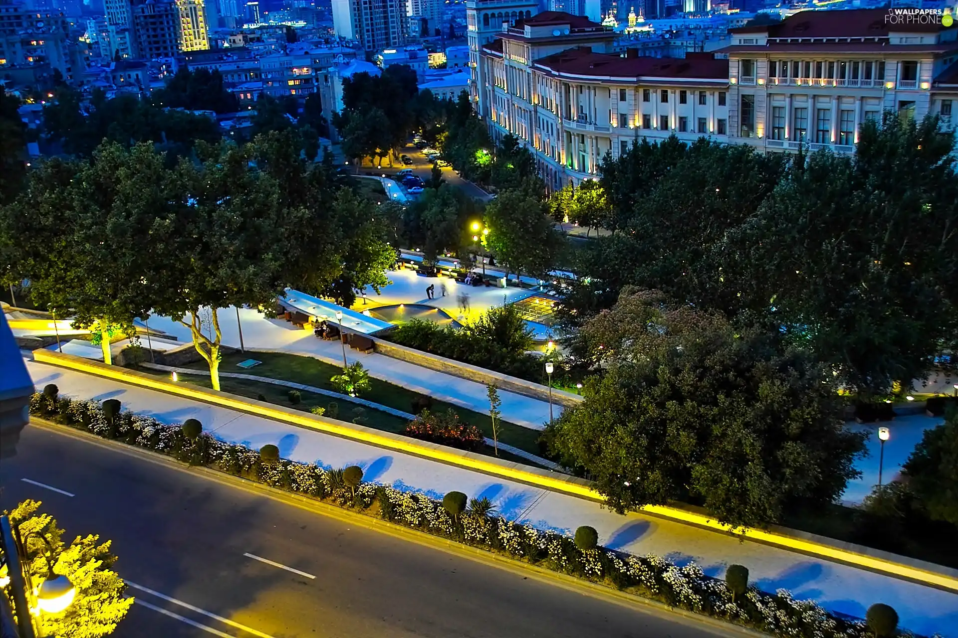 trees, Houses, Night Landscape, Baku, viewes, square