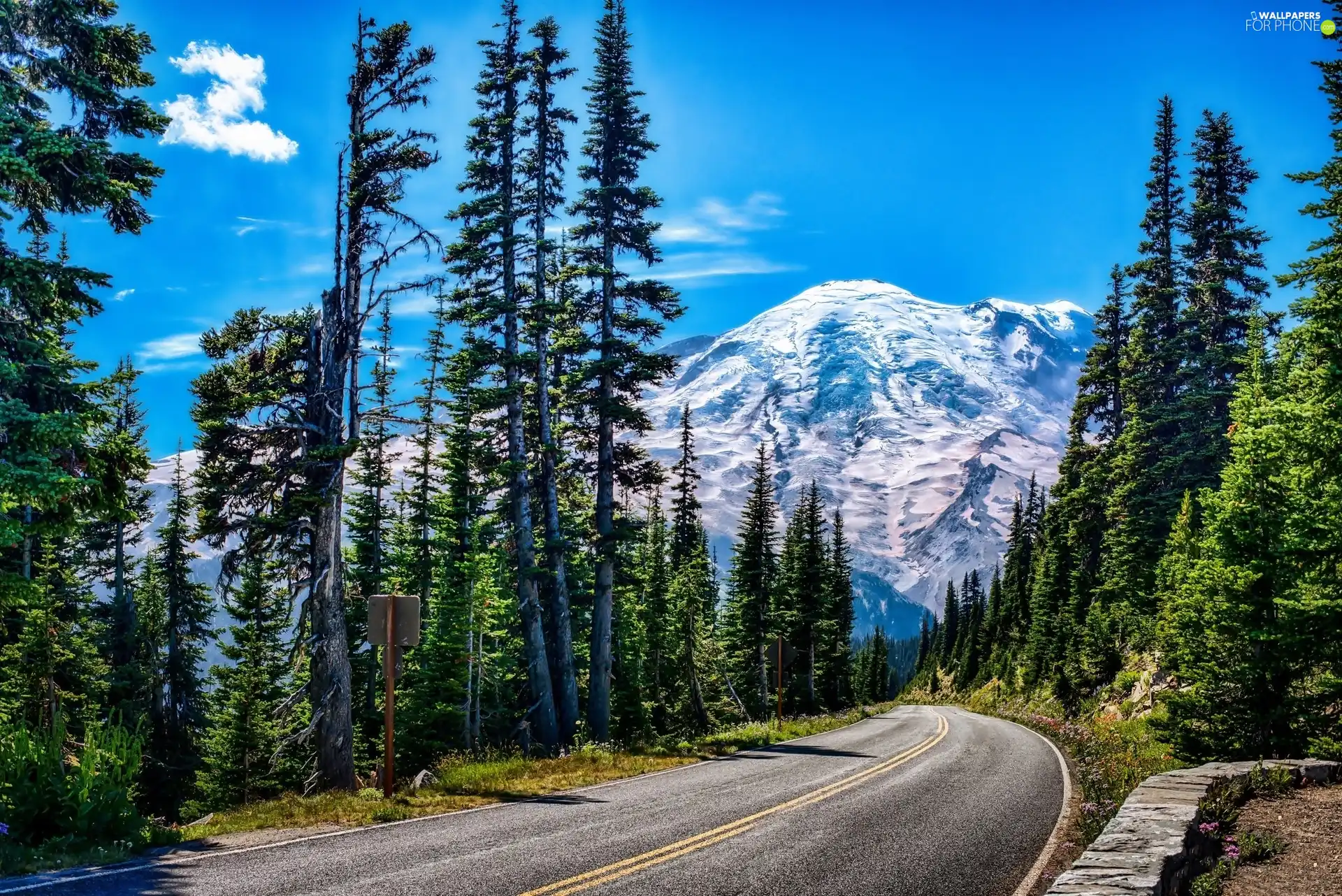 Way, Mountains, landscape, forest