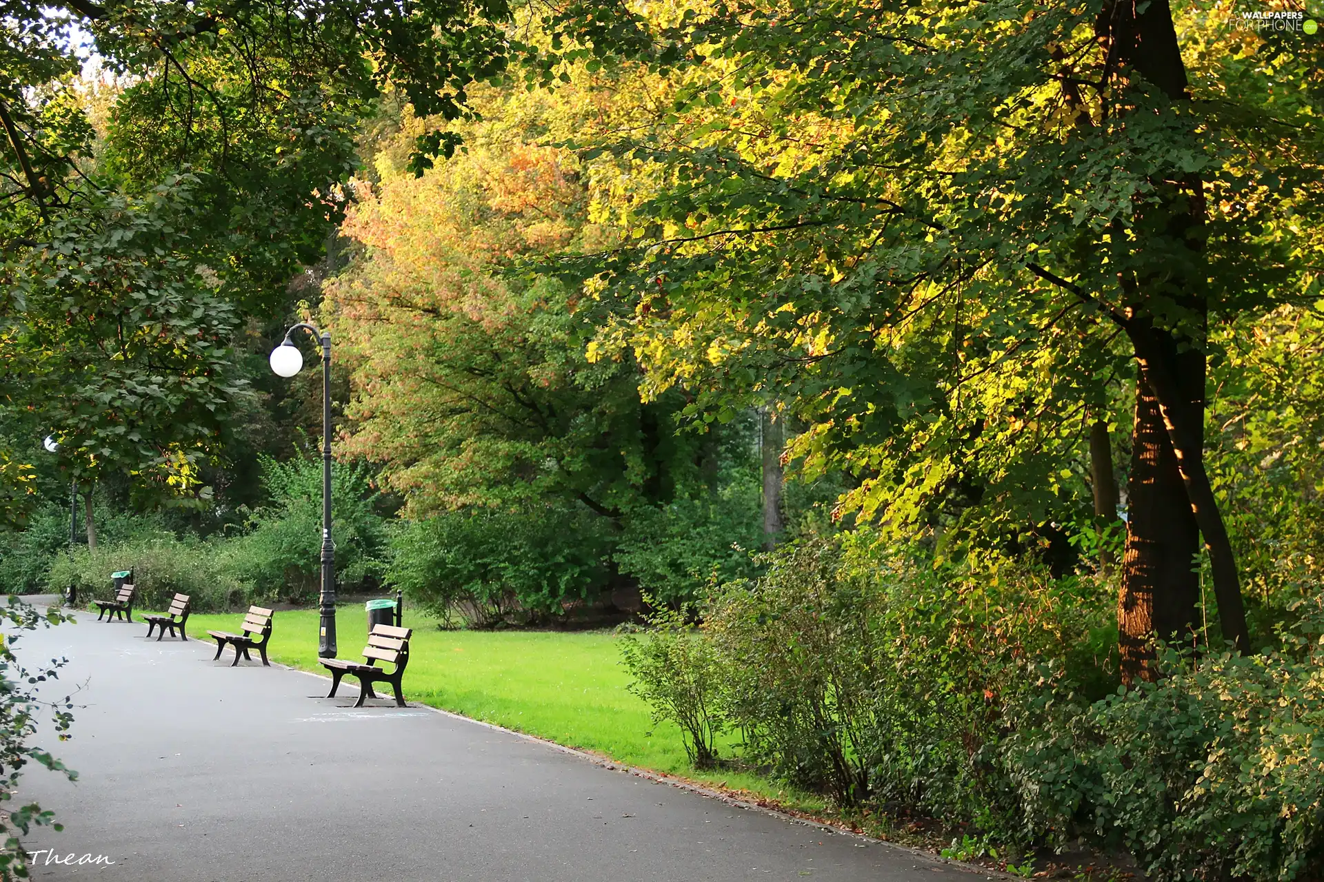 lane, bench, trees, viewes, Park