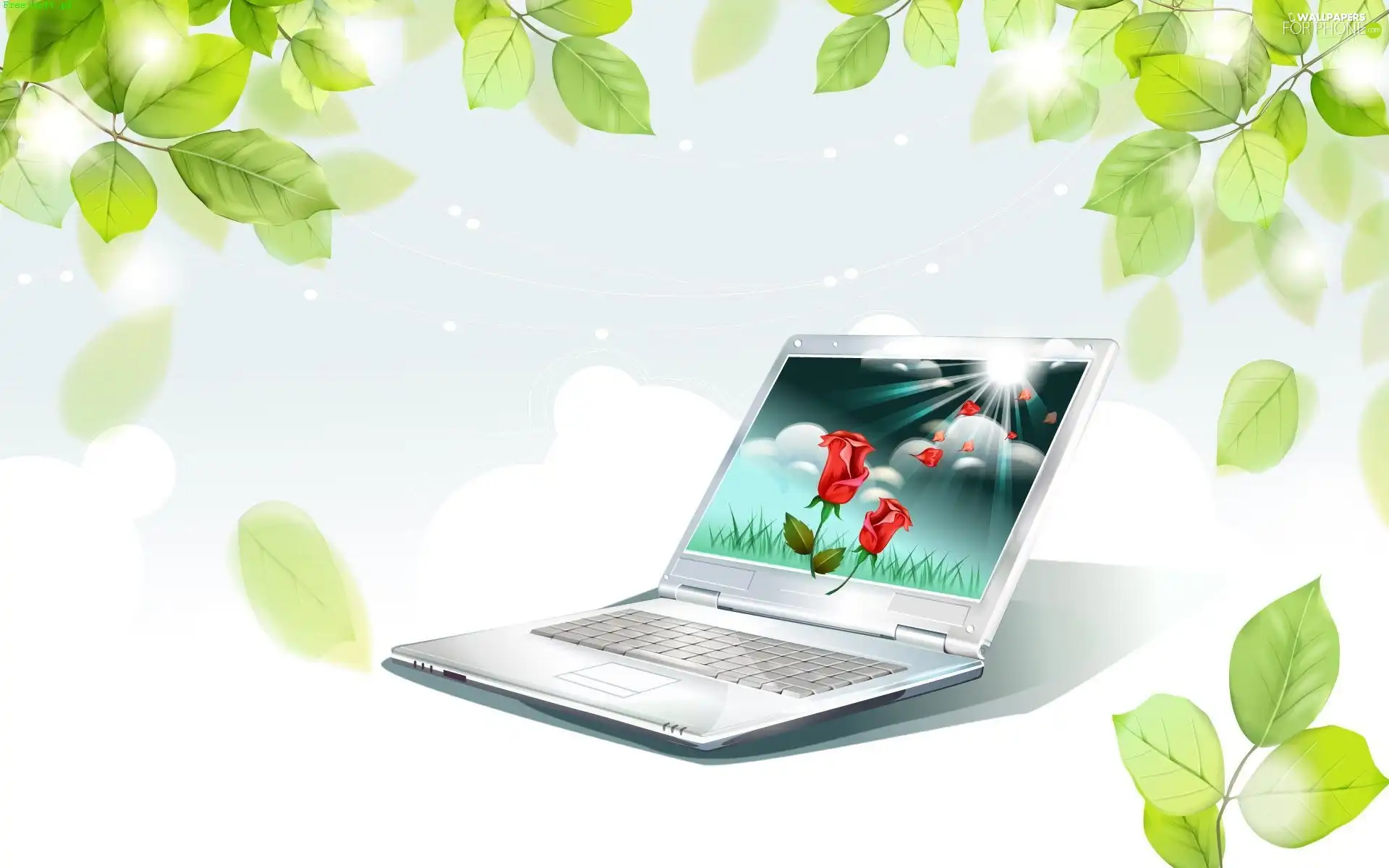 Leaf, laptop