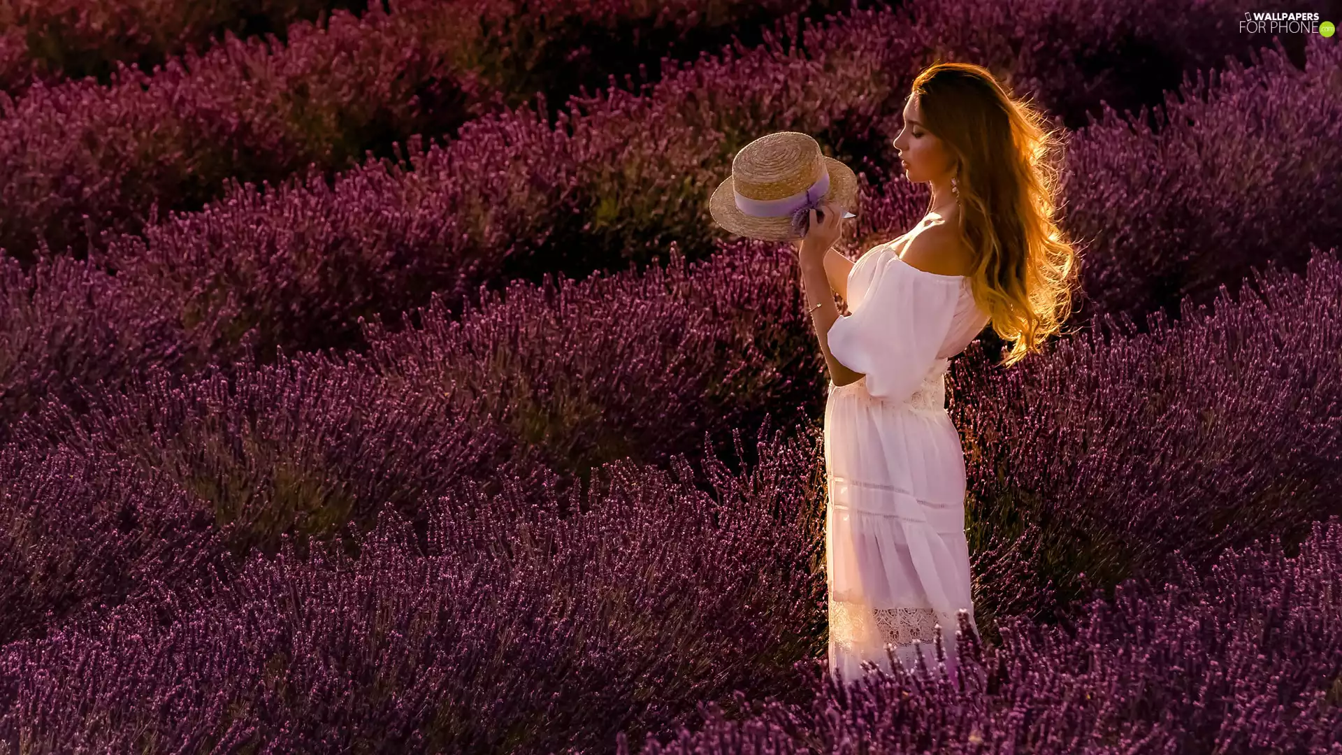 Dress, girl, Field, lavender, Hat, White
