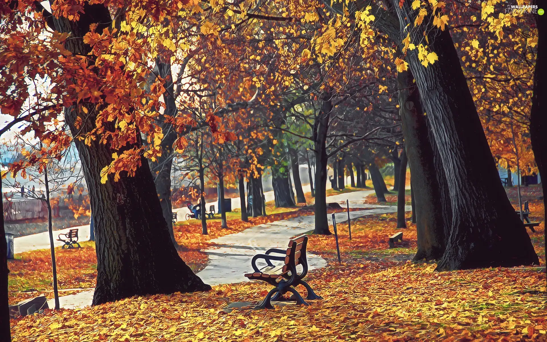 Leaf, blur, bench, fallen, Park