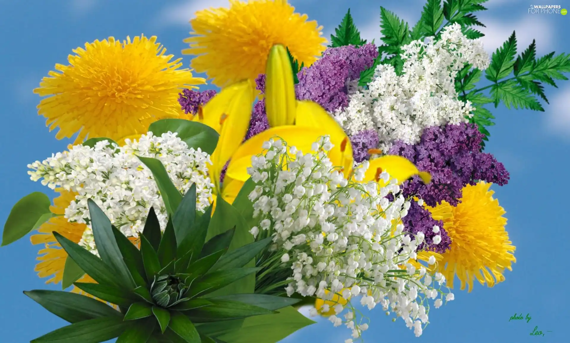 Leaf, Flowers, bouquet