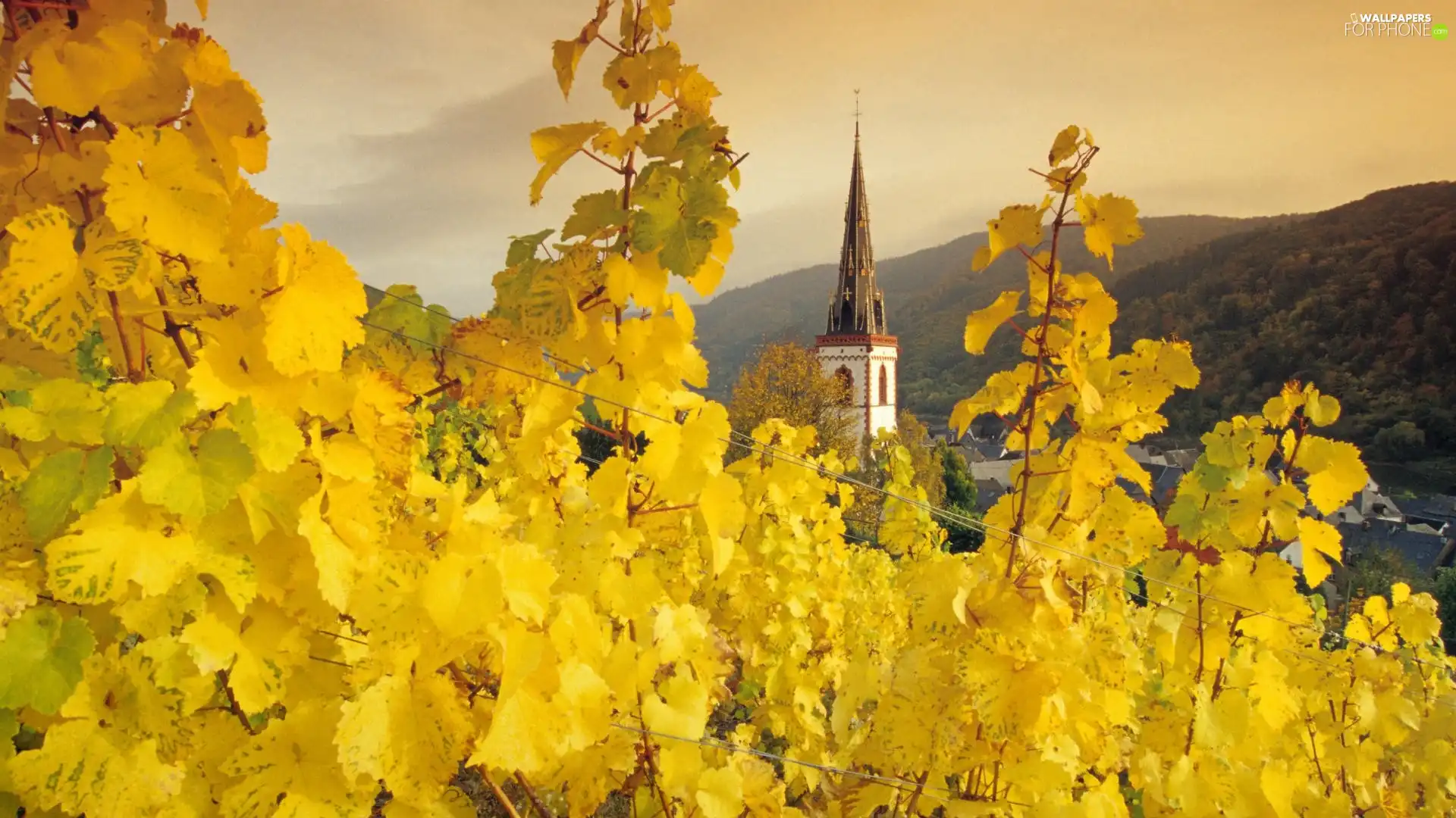 Church, viewes, Leaf, trees