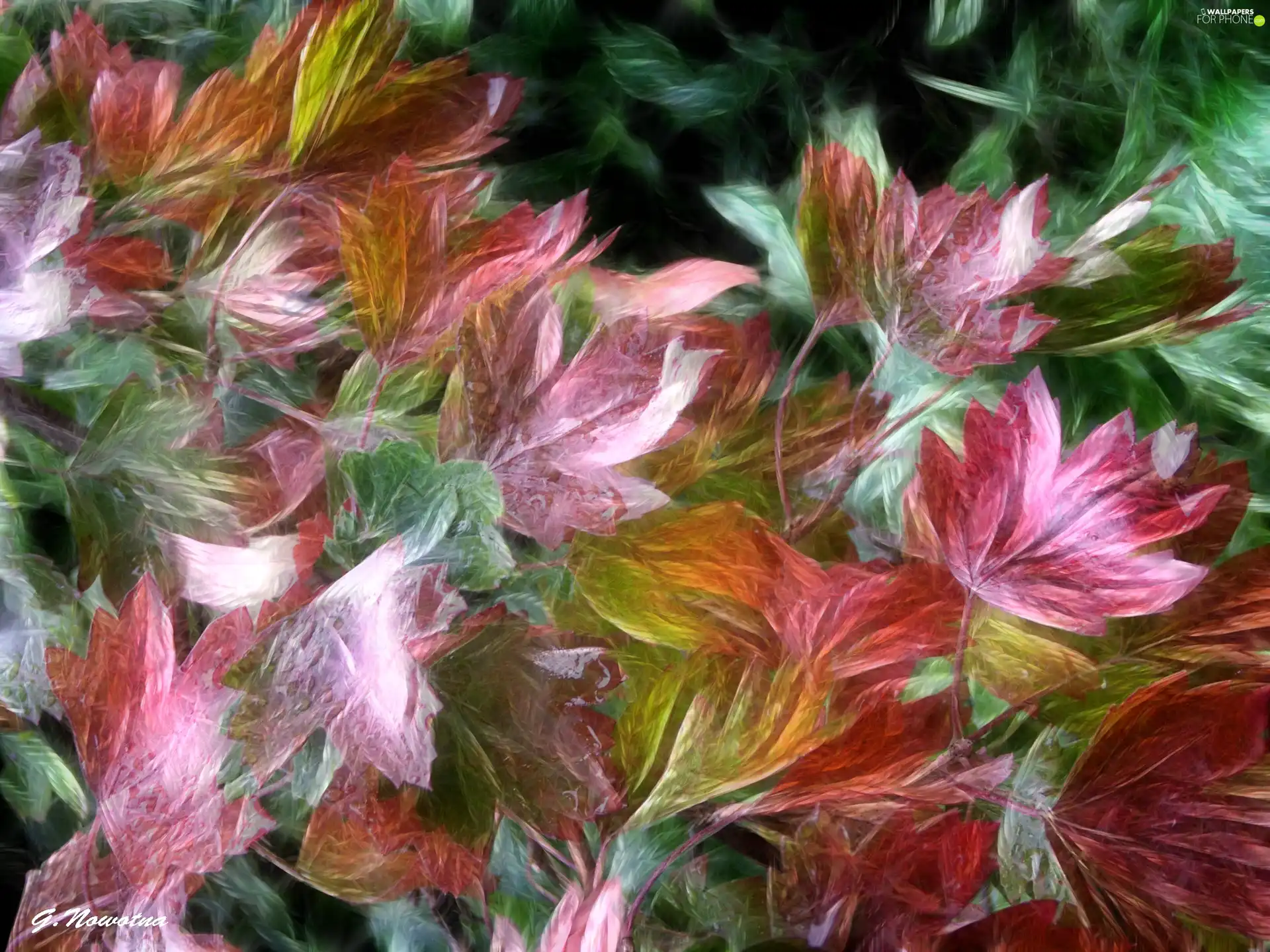 color, Leaf