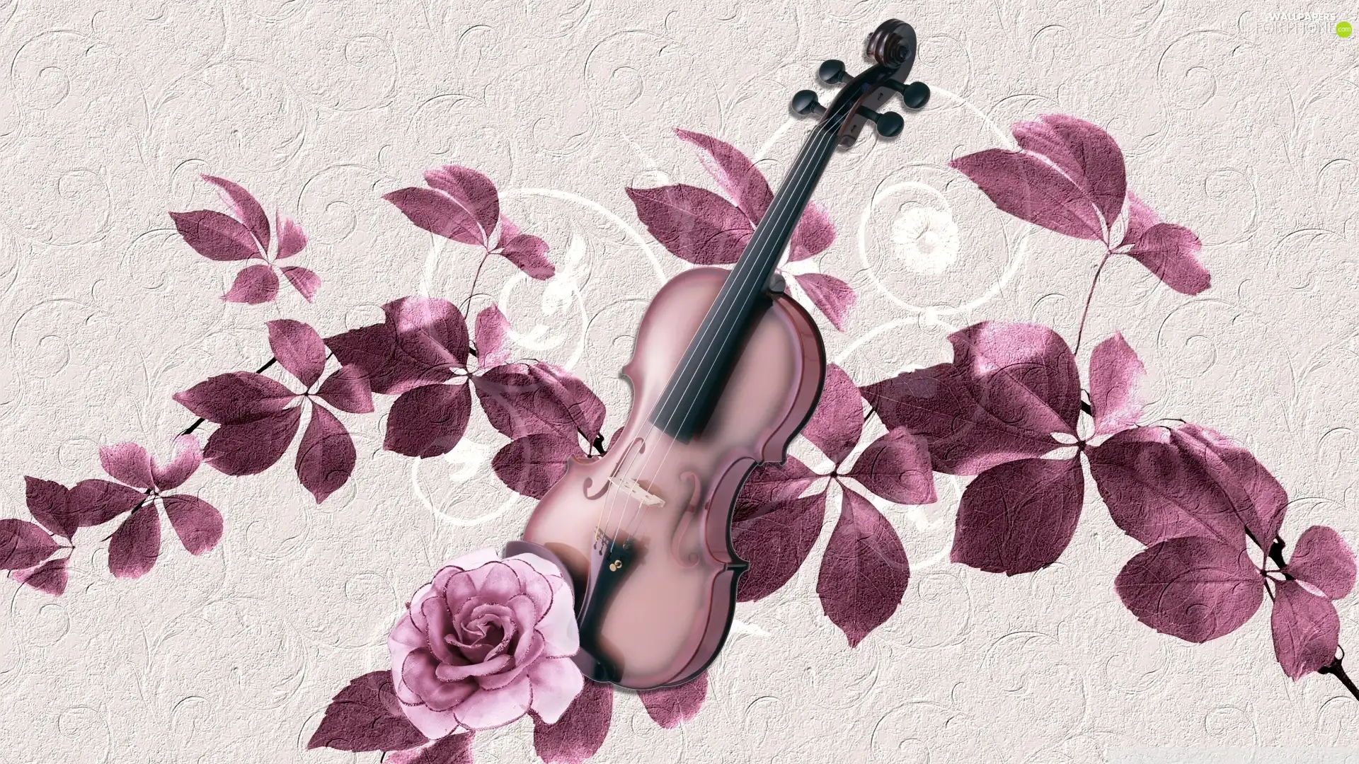 instruments, rose, Leaf, violin