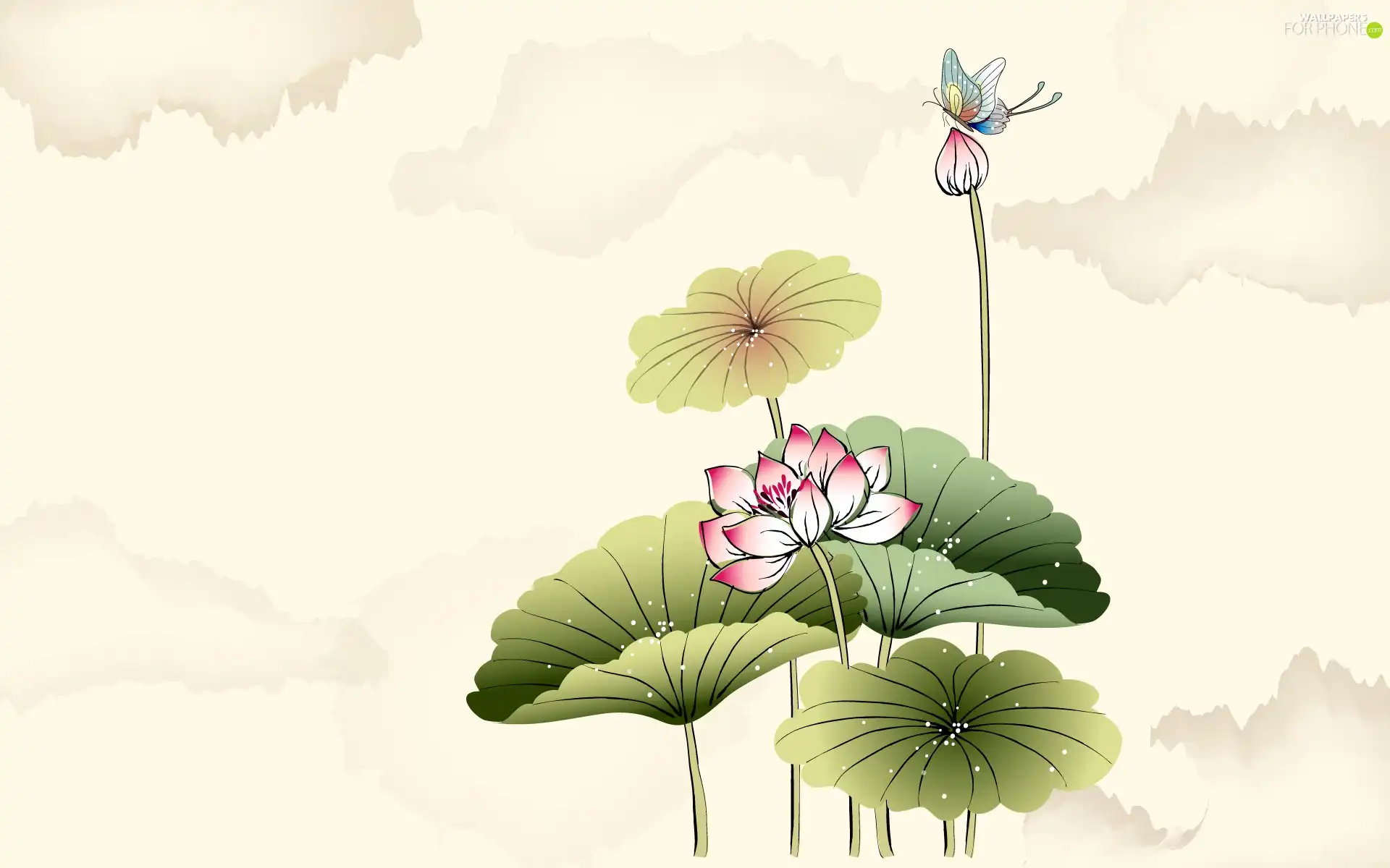 Pink, Big, Leaf, Flowers