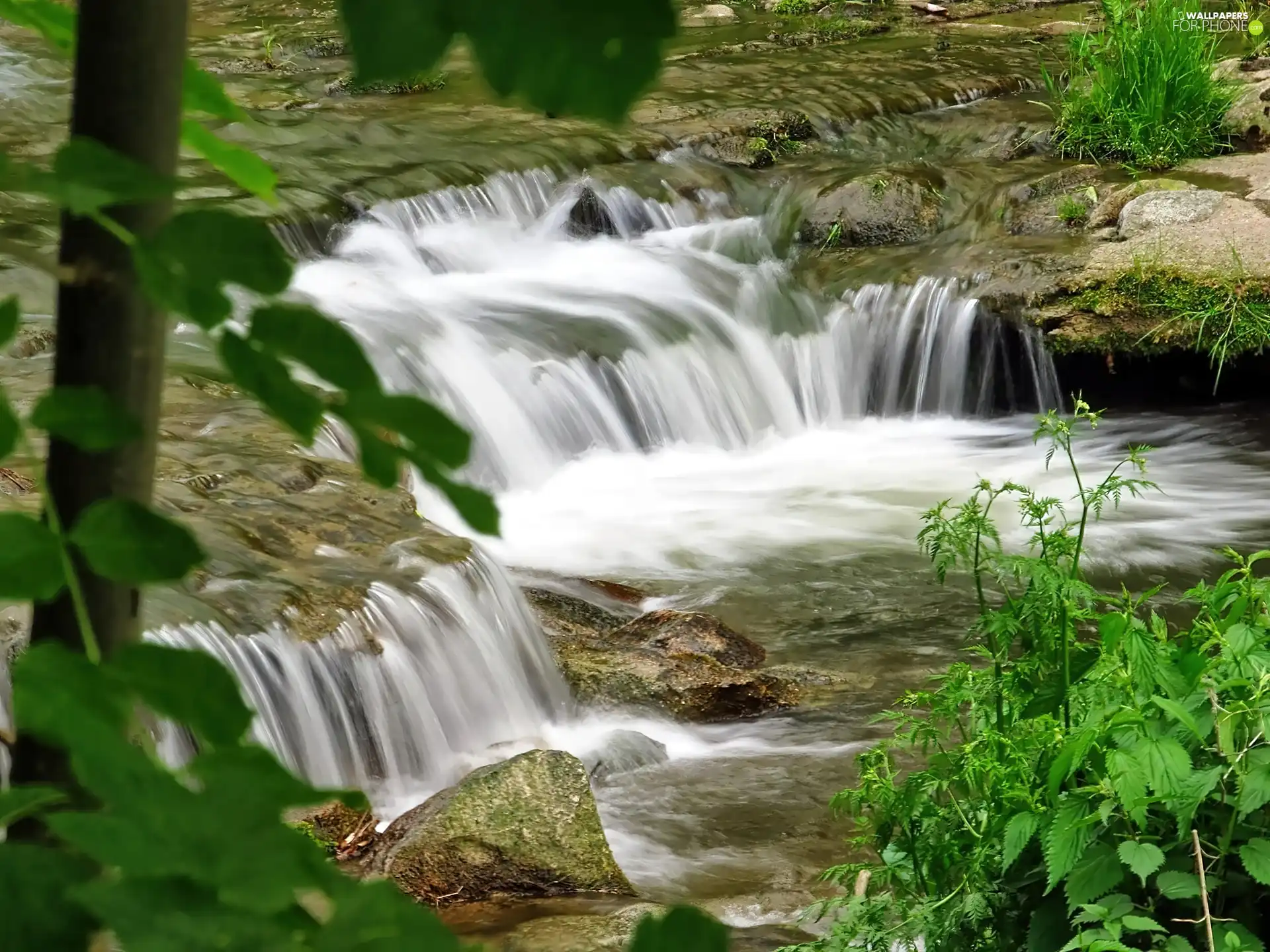 Leaf, cascade, River