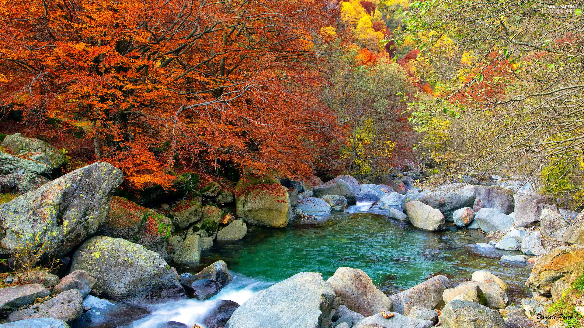 trees, viewes, River, color, Stones, forest, autumn, Leaf