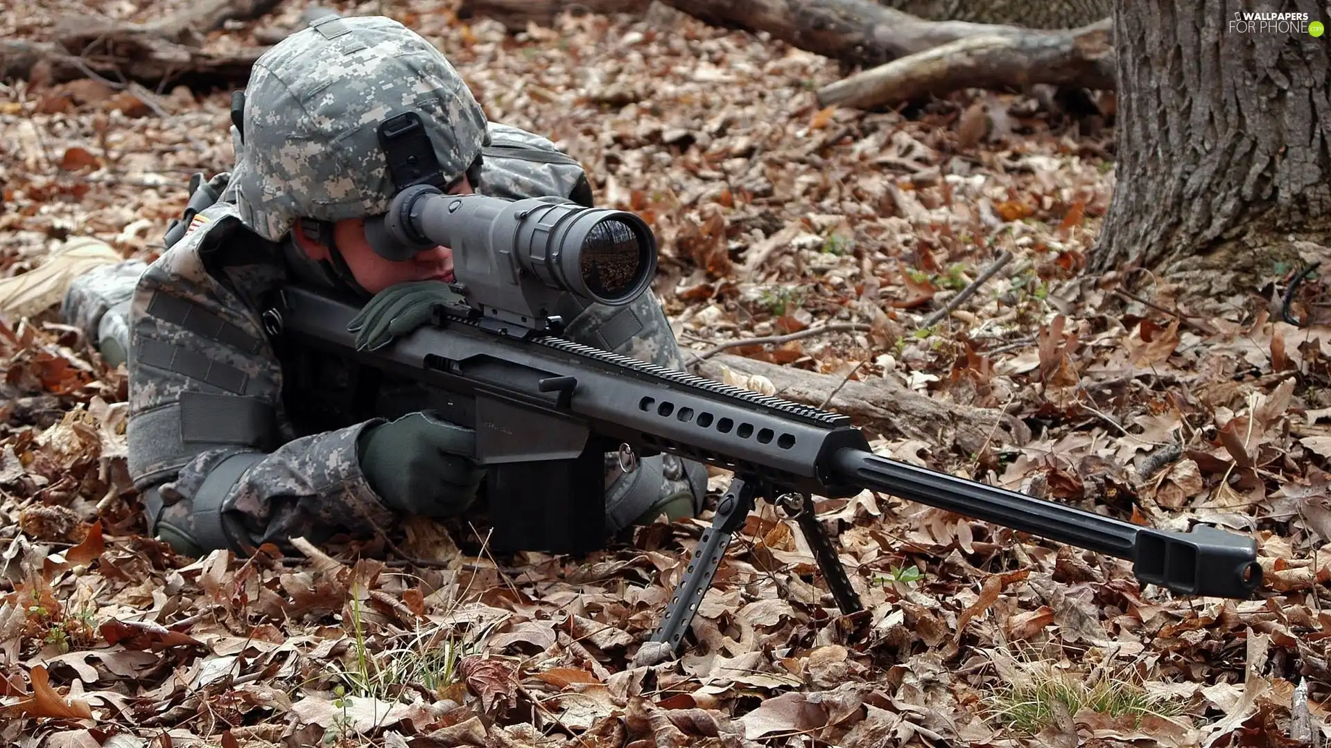 Leaf, sniper, Sniper