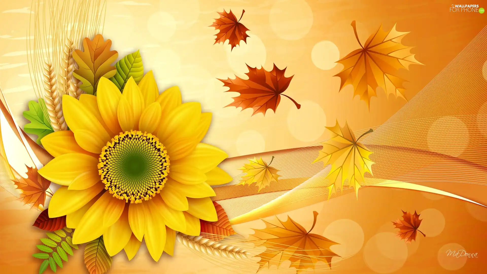 Leaf, autumn, Sunflower
