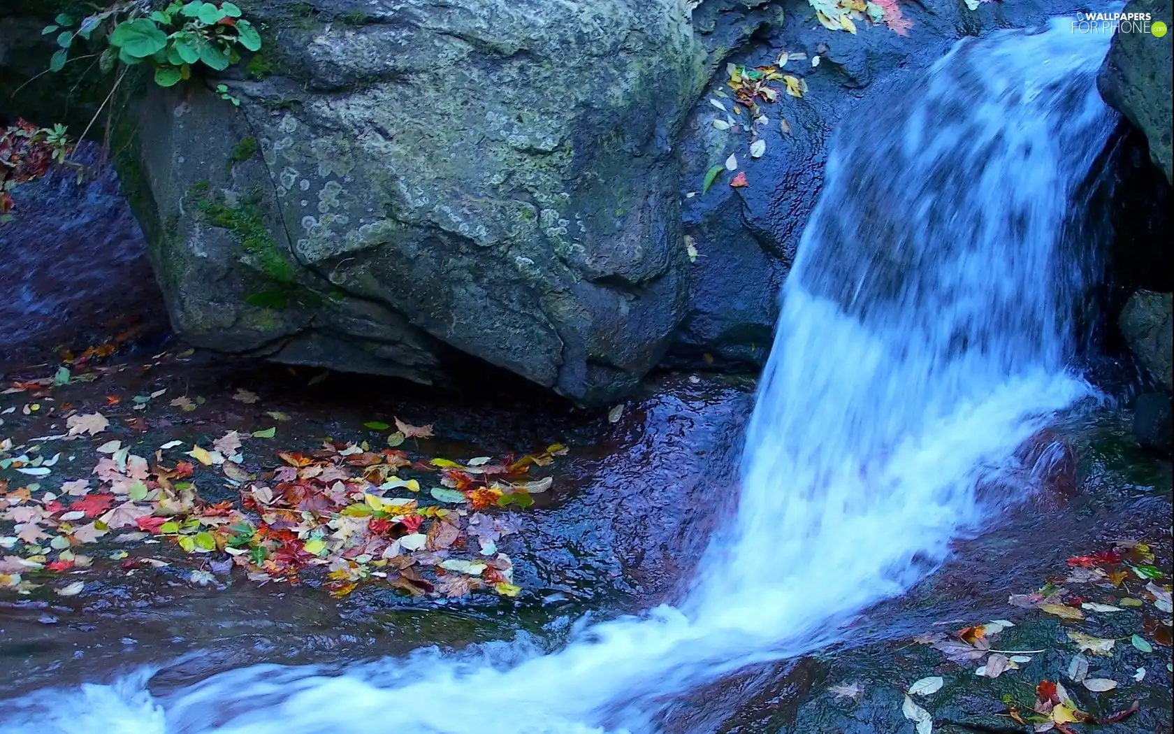 waterfall, color, Leaf, rocks