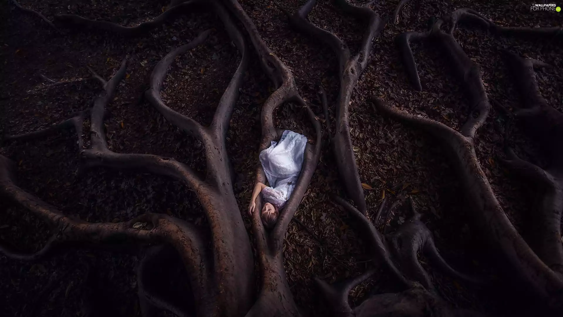 roots, Leaf, White, dress, girl