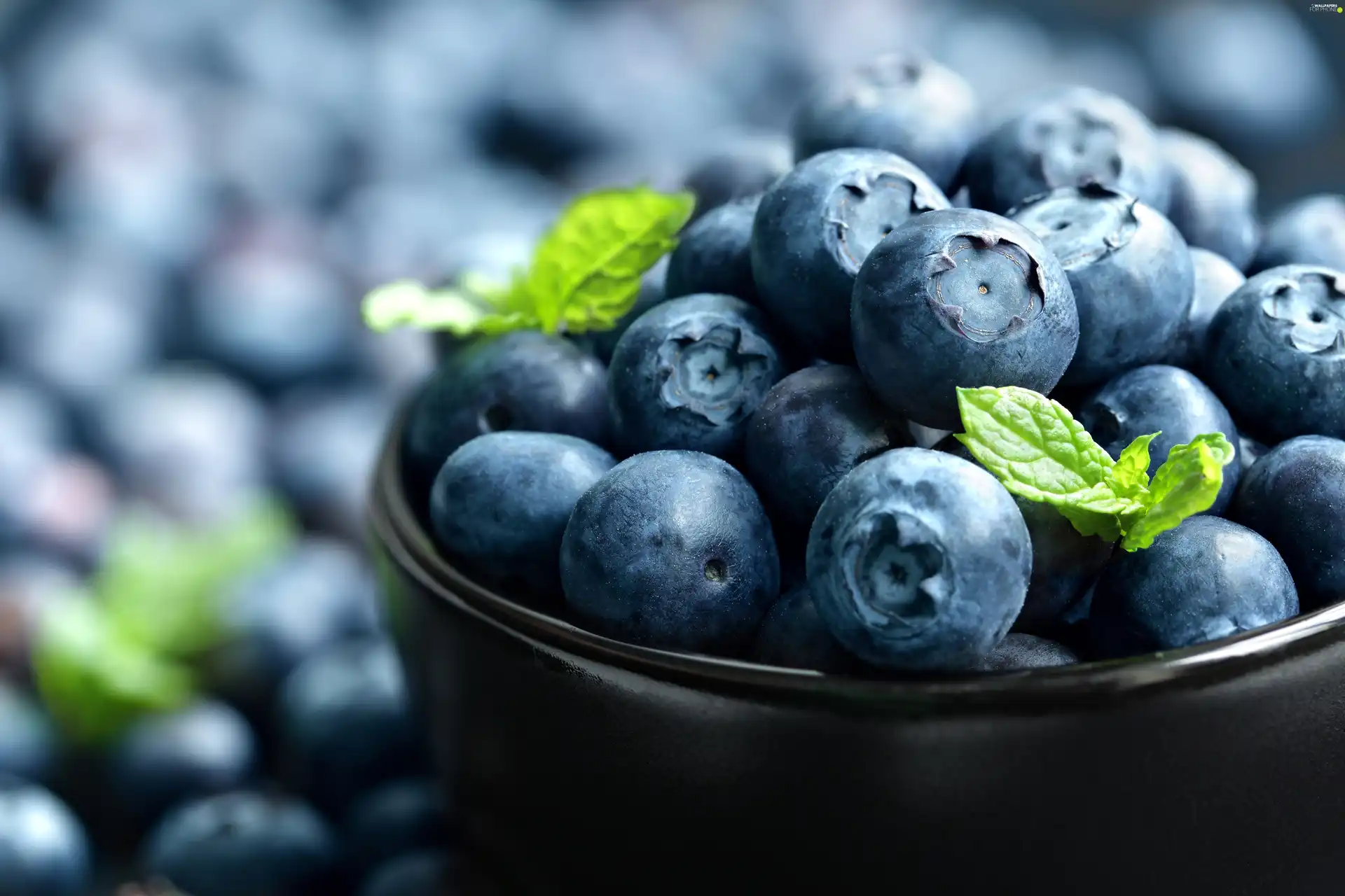 leaves, bowl, blueberries, green ones, Black