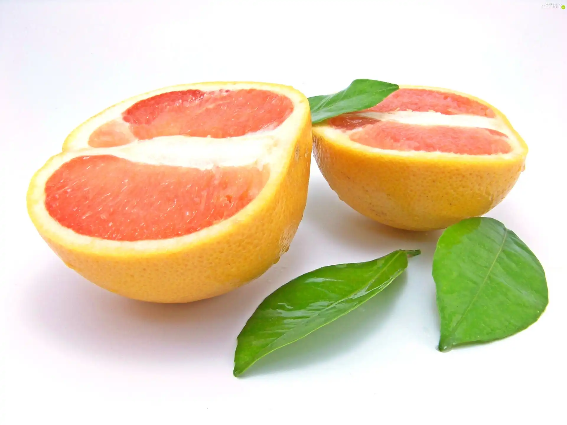 grapefruit, leaves