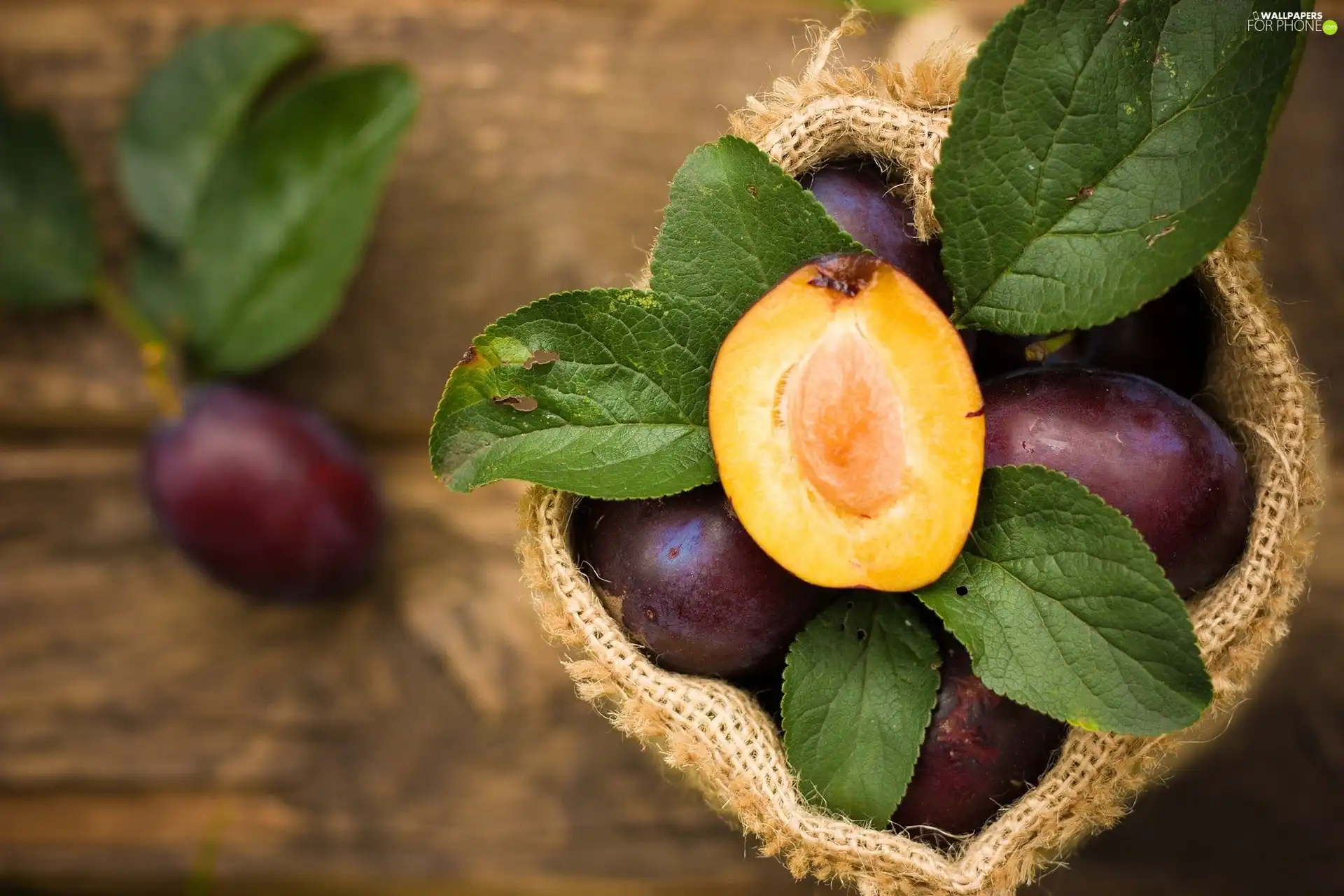 plums, leaves