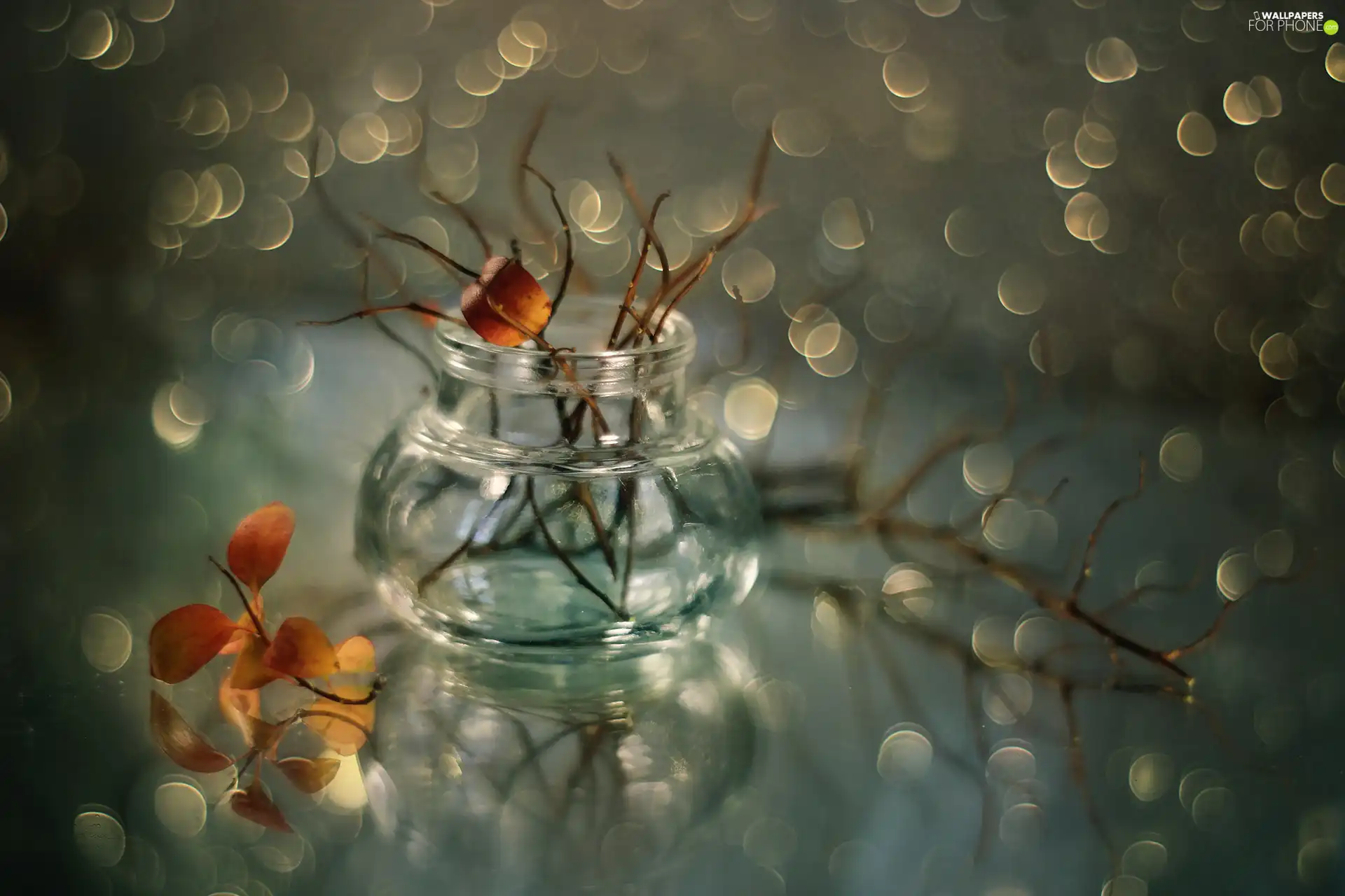 Bokeh, leaves, Twigs, vase, dry
