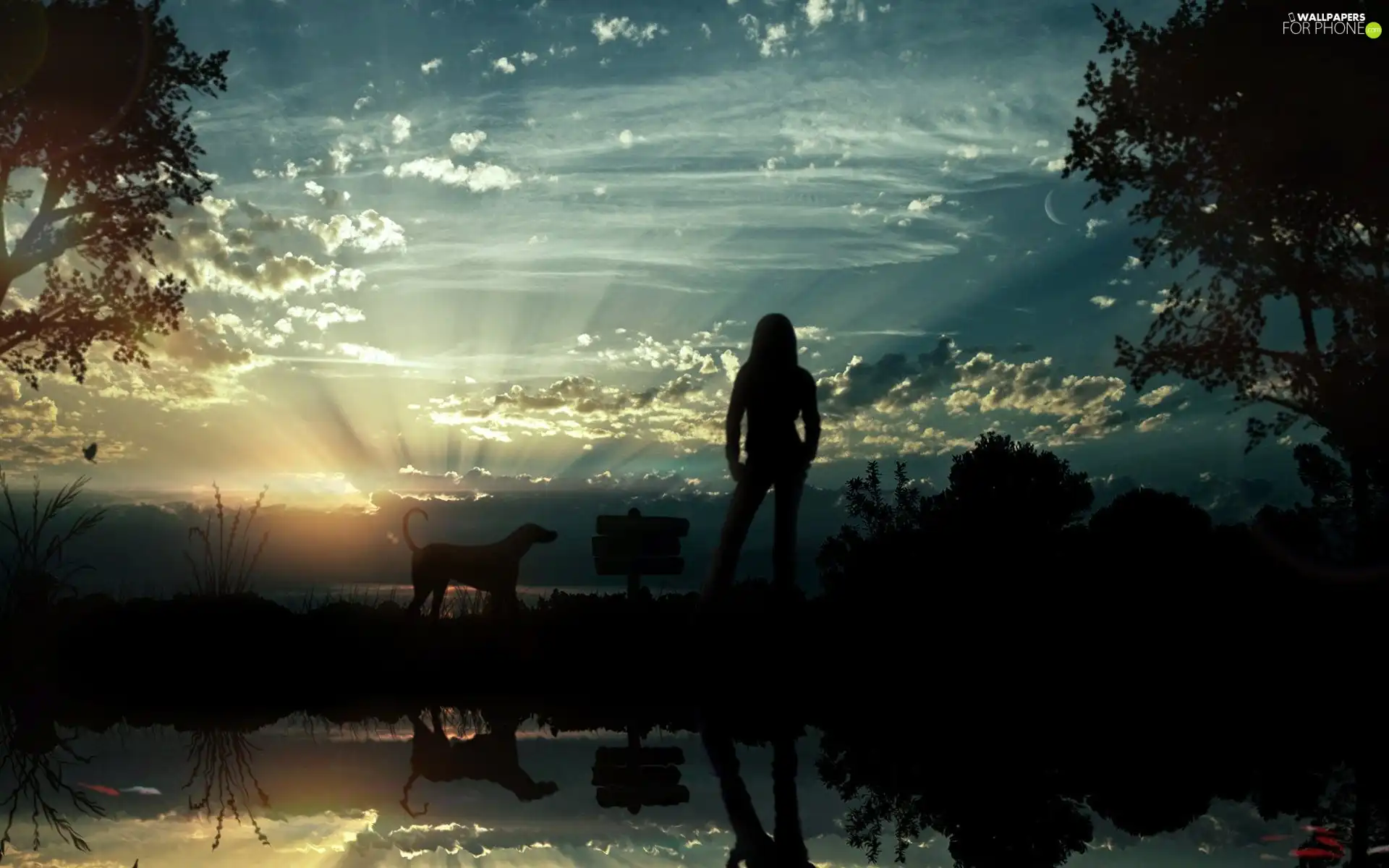 dog, Women, light, Sky, rays, nature