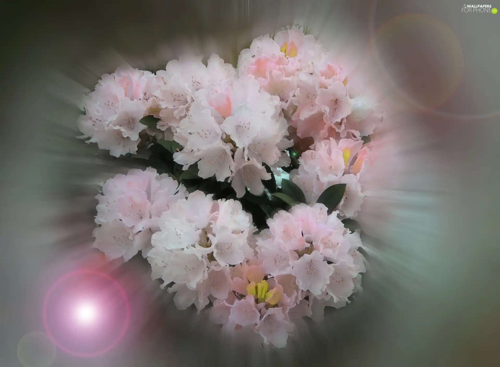 flowers, small bunch, light pink