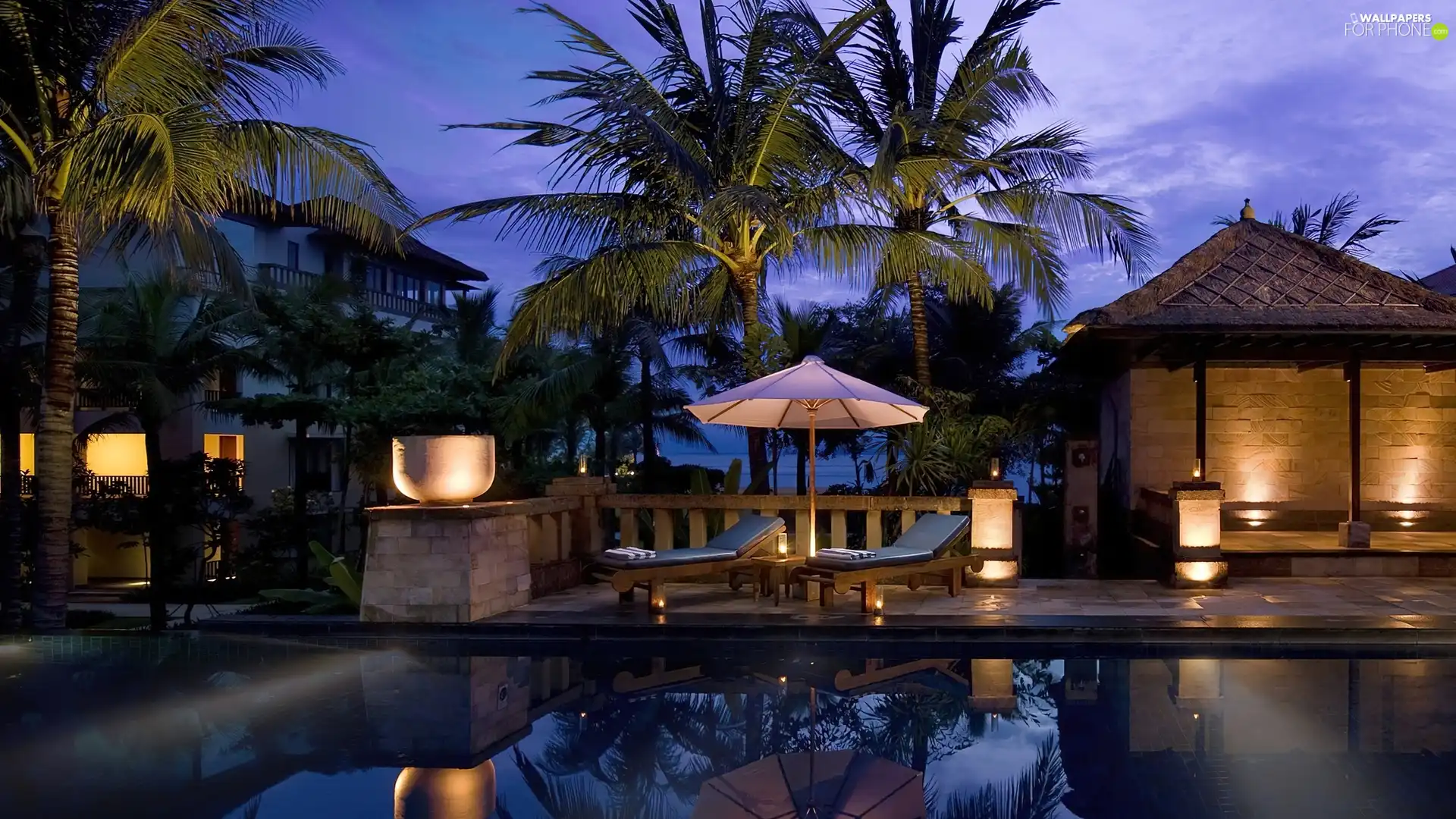 house, Palms, lighting, Pool