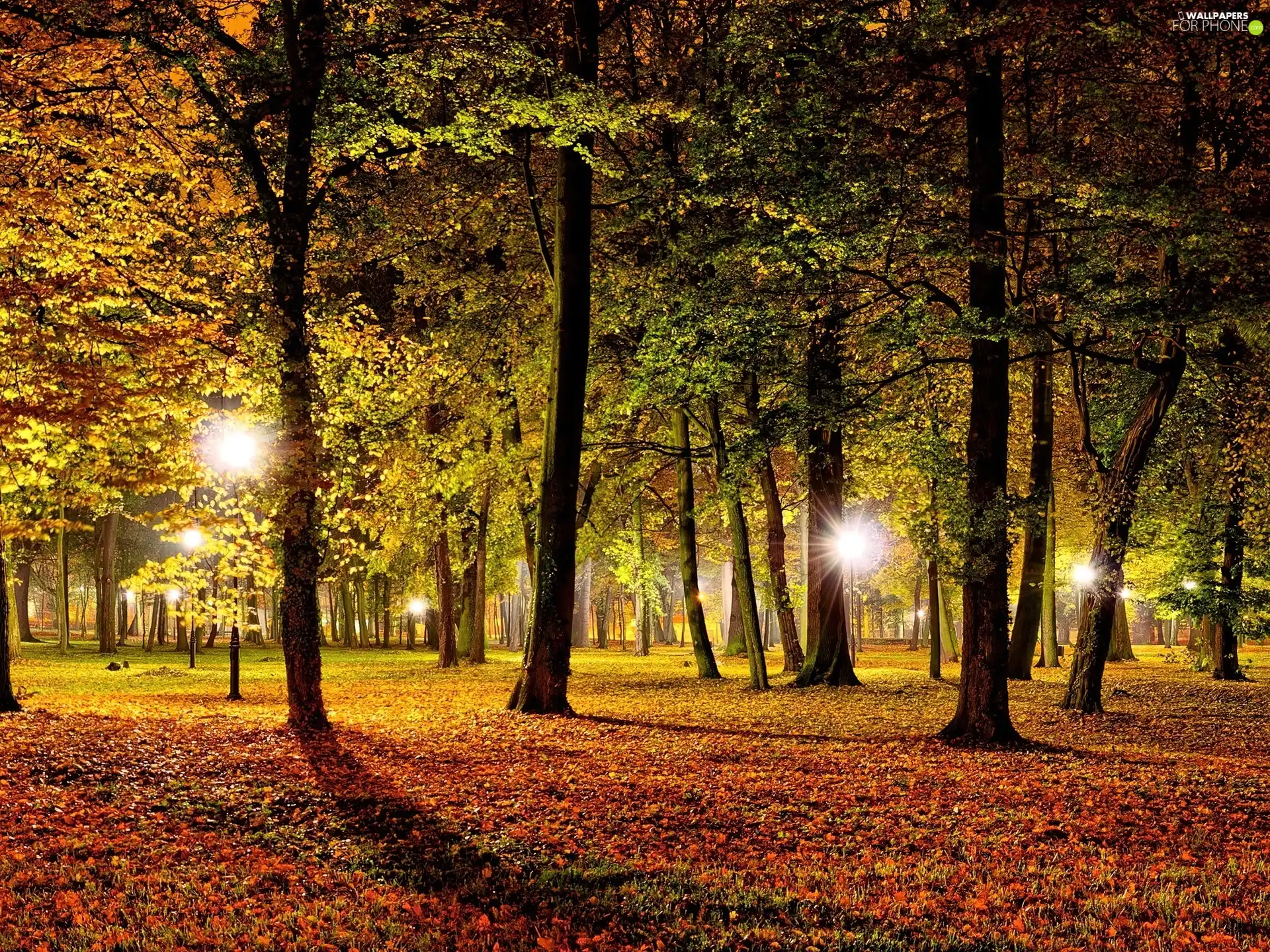 lighting, Autumn, Park