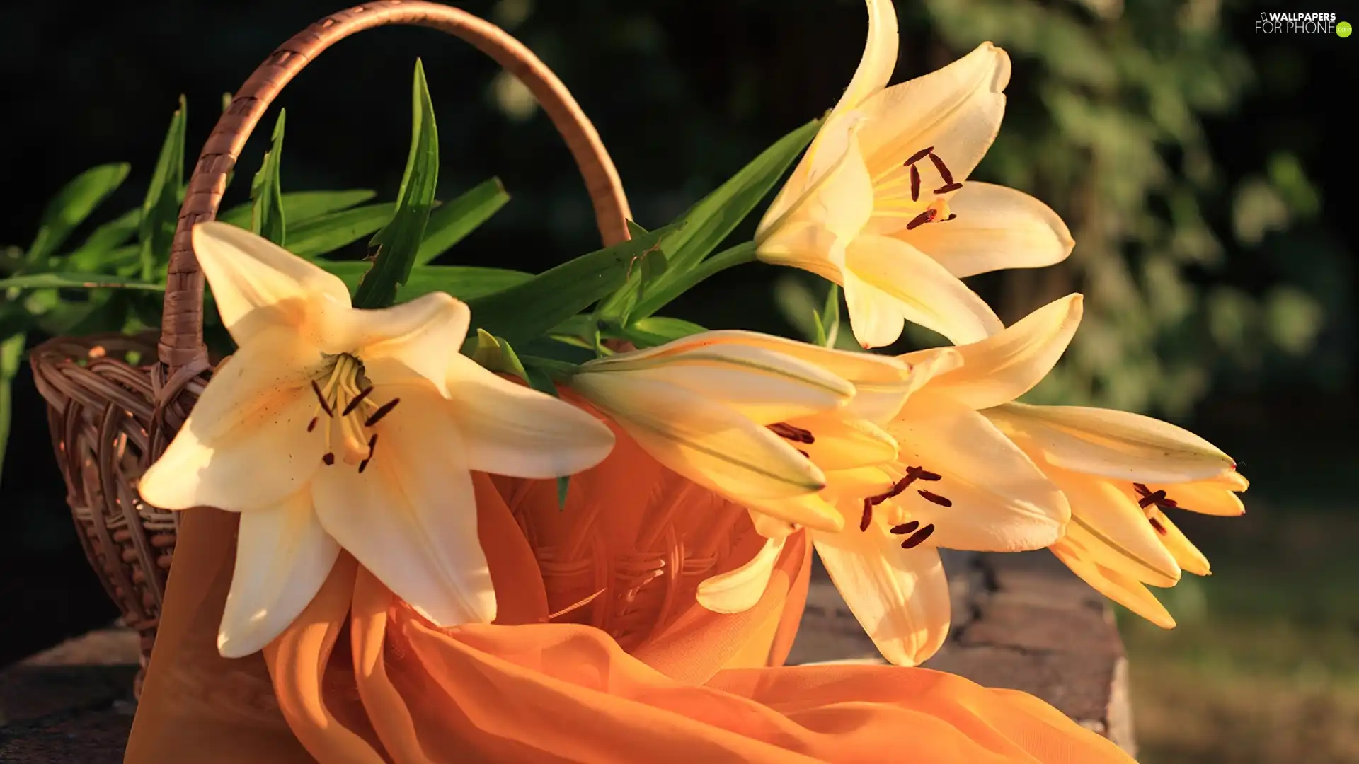 basket, shawl, lilies, Orange