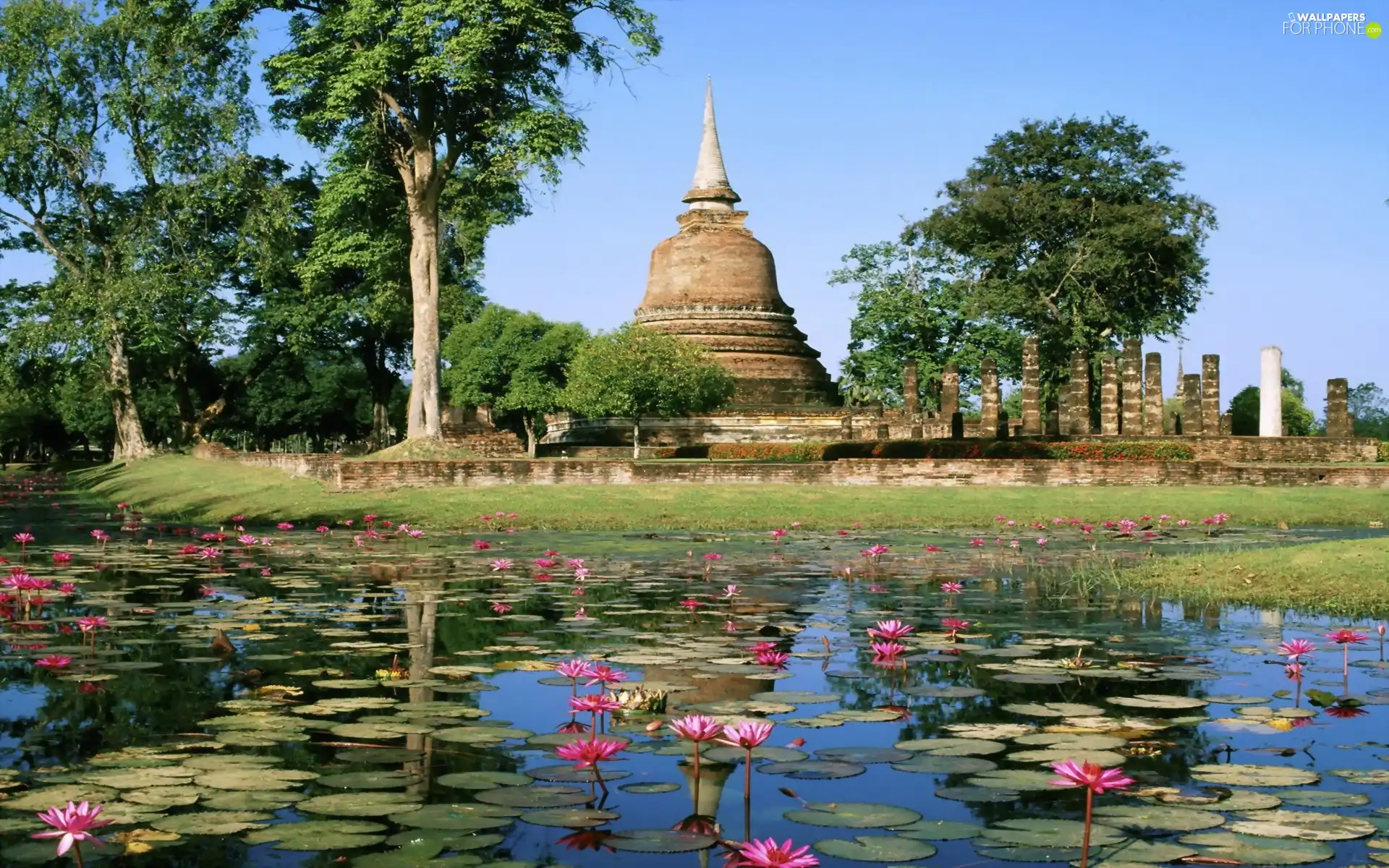 lilies, ruins, trees, viewes, water, Pond - car