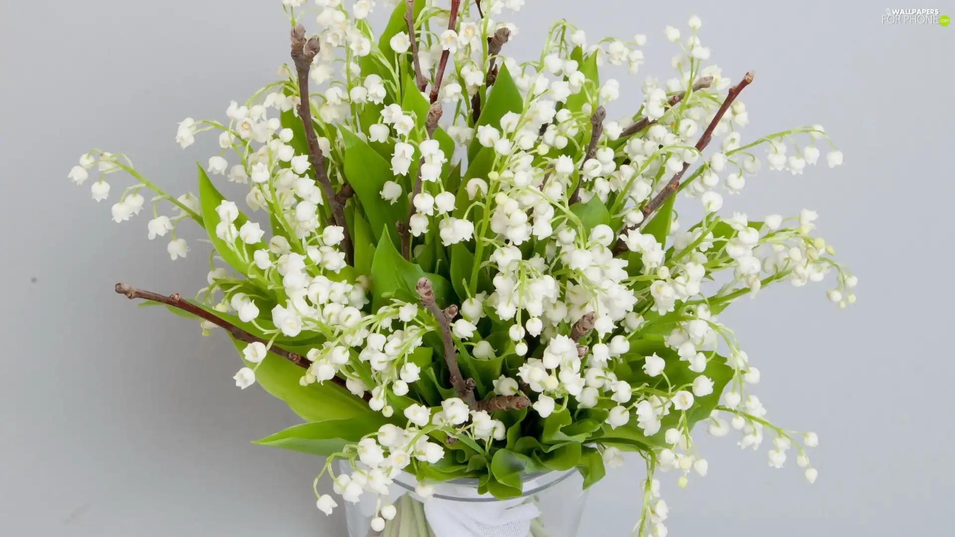 Vase, bouquet, Lily of the Valley