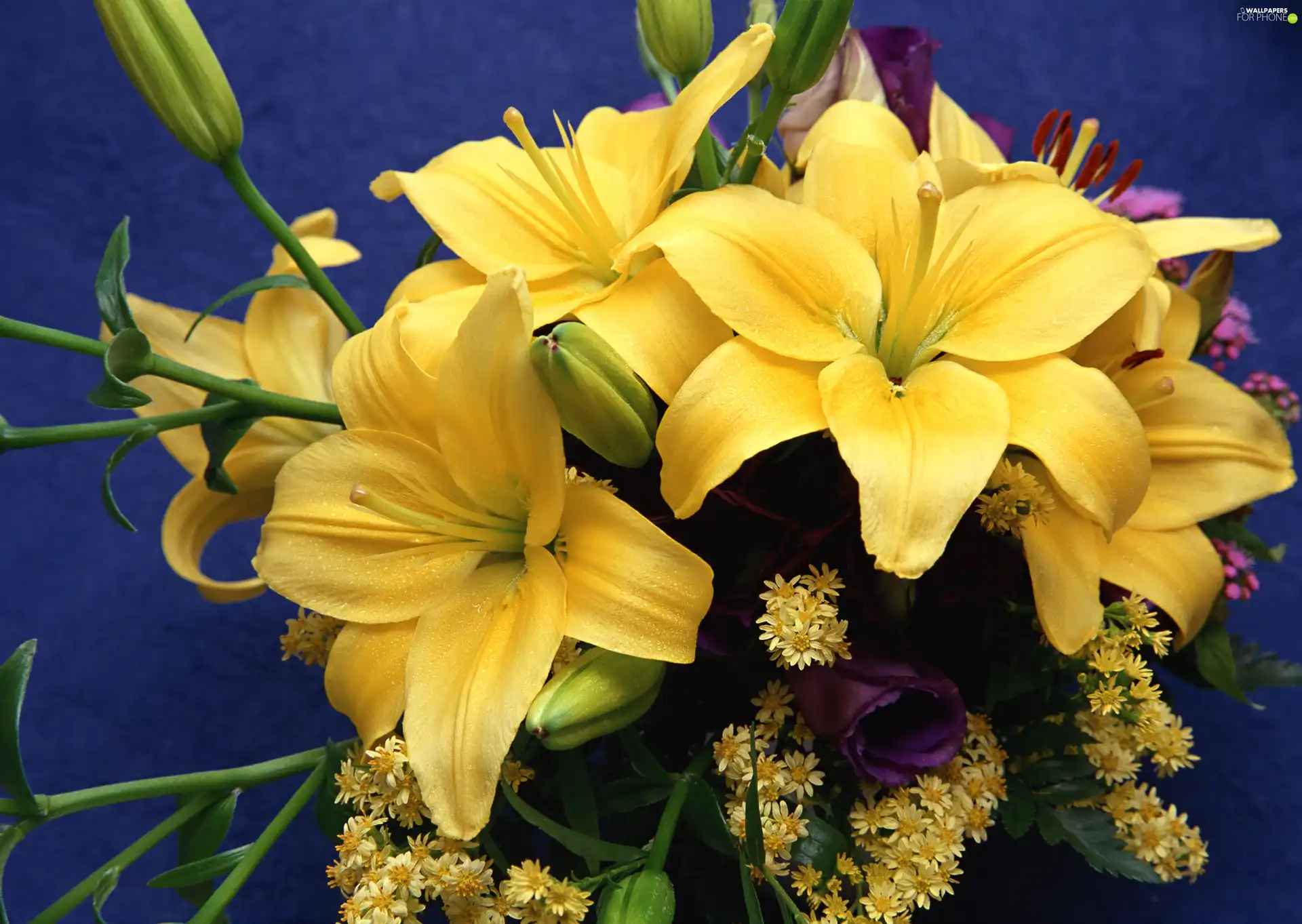 lily, bouquet, yellow