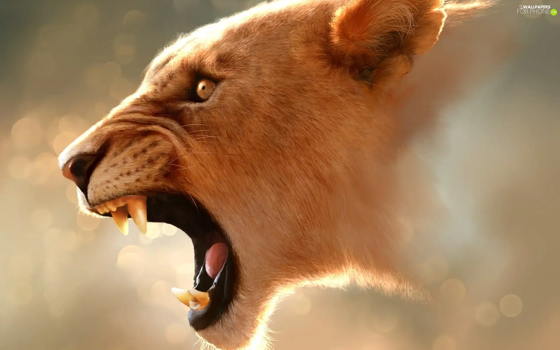 roaring, Lion