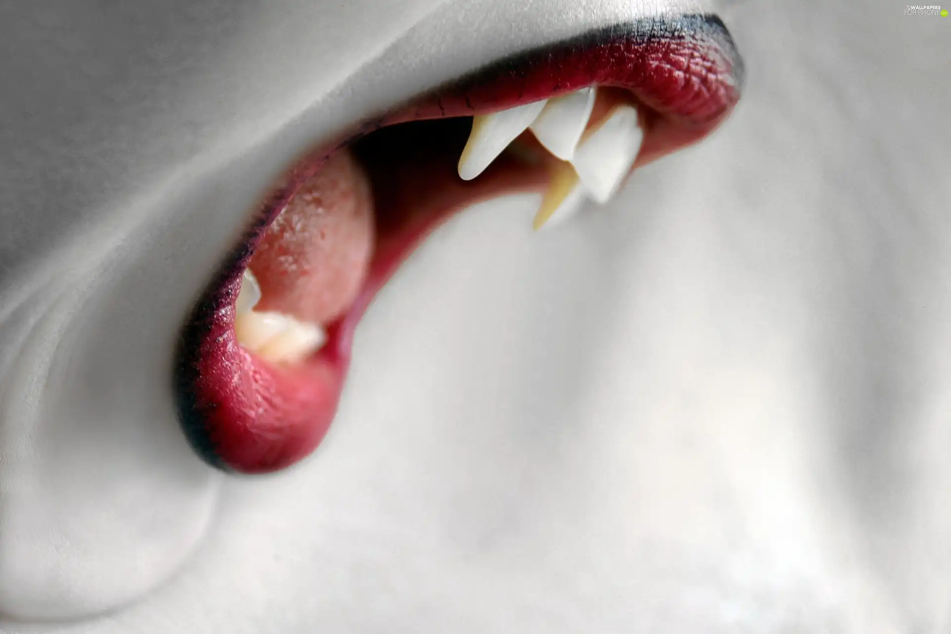 lips, Vampire, canines