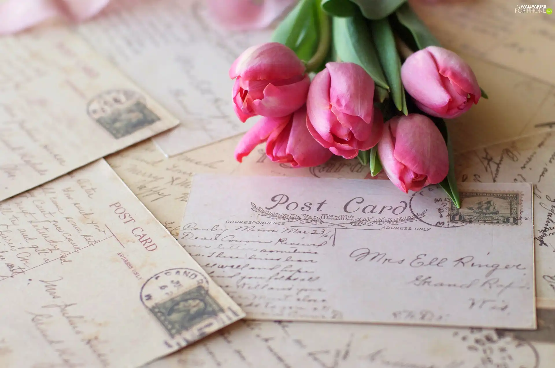 list, Flowers, Tulips