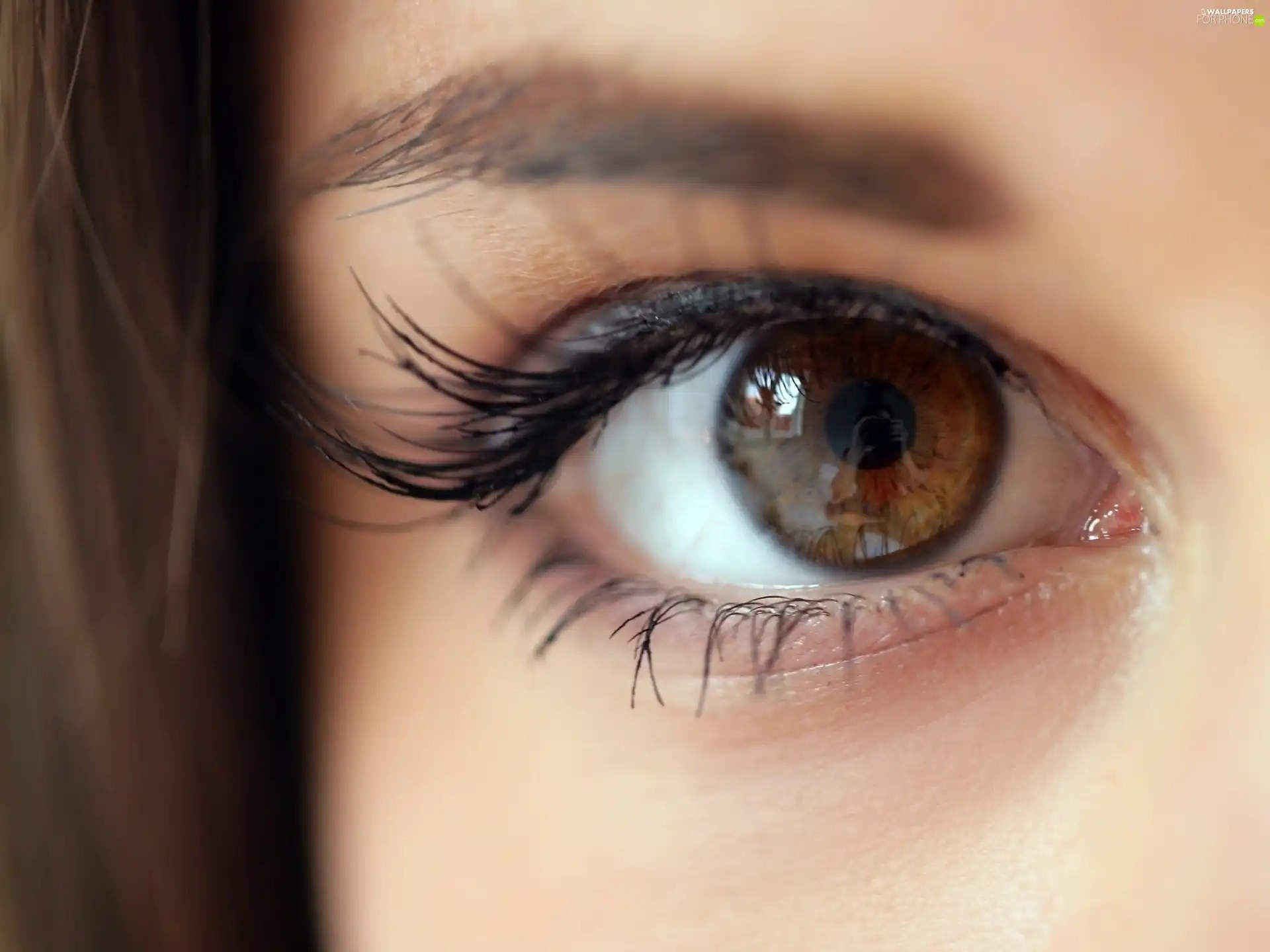 Little Caprice, eye