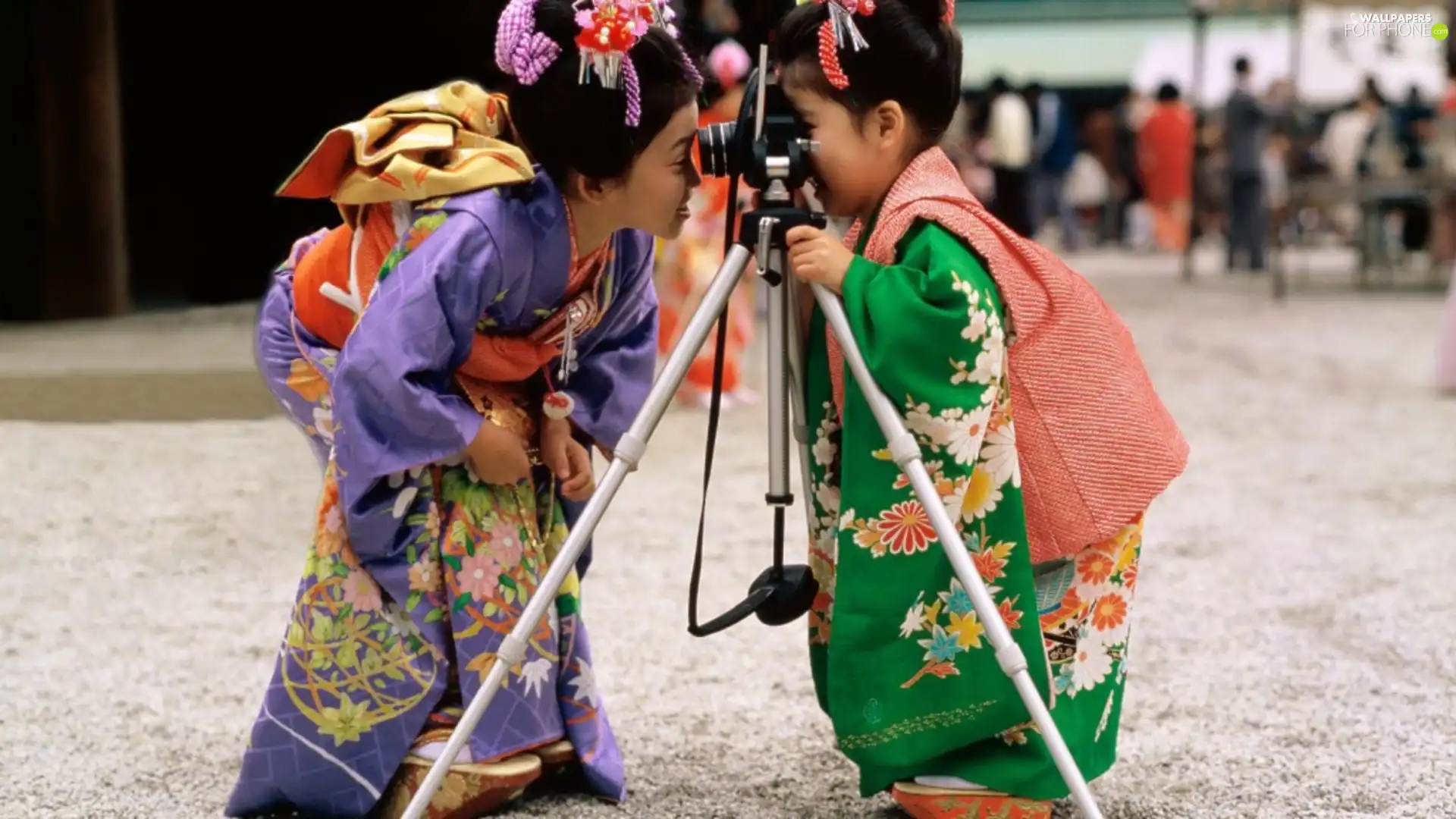 Japanese, Two, little doggies