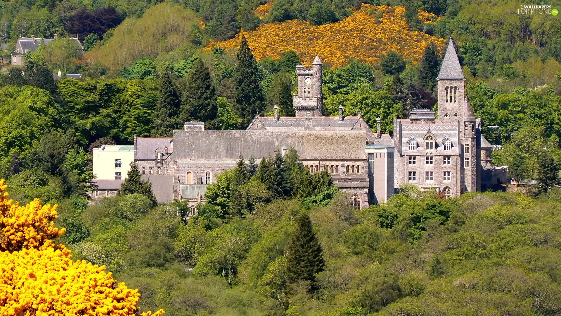 Scotland, by, Loch Ness, Castle