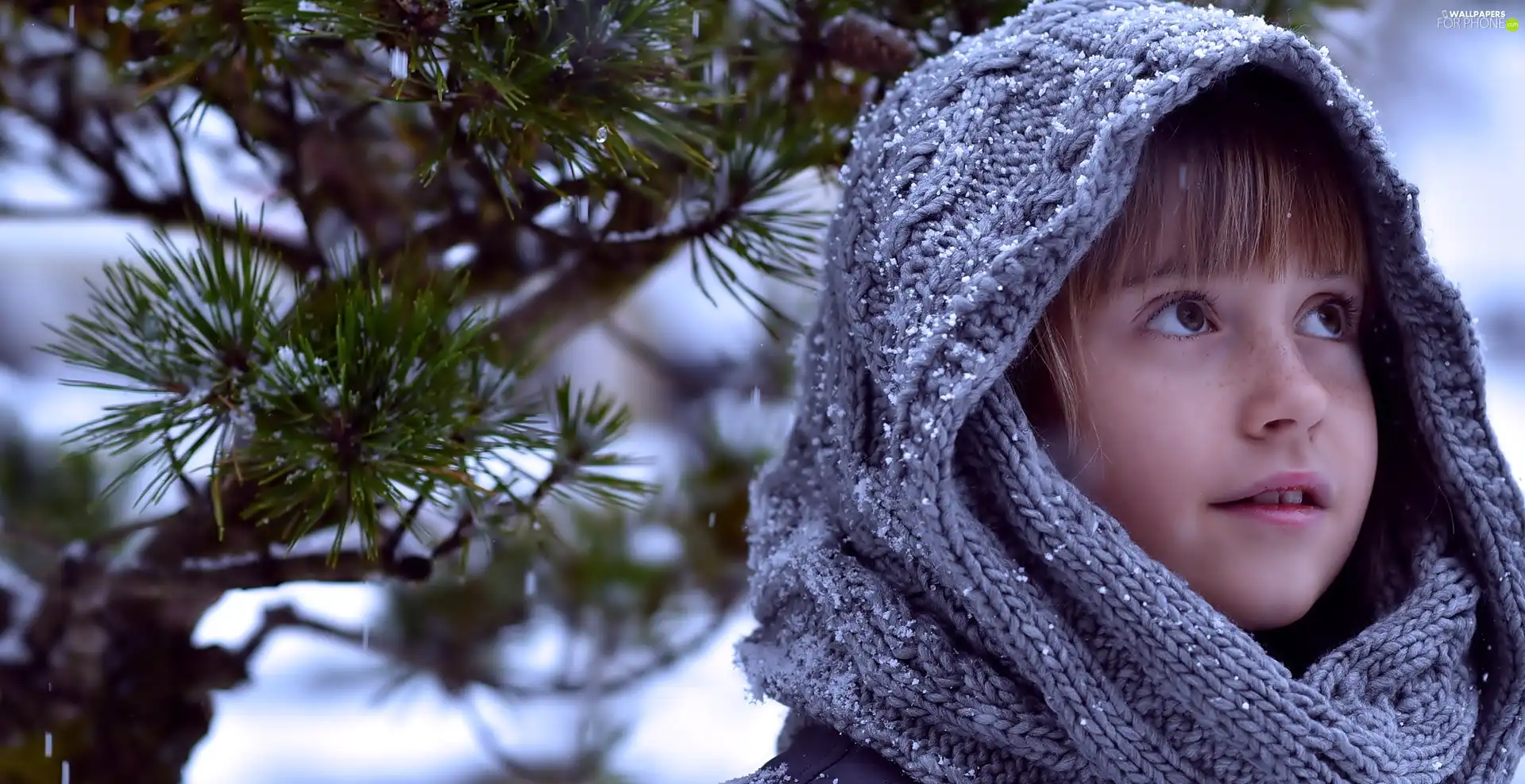 hosiery, Kid, trees, viewes, Lod on the beach, shawl