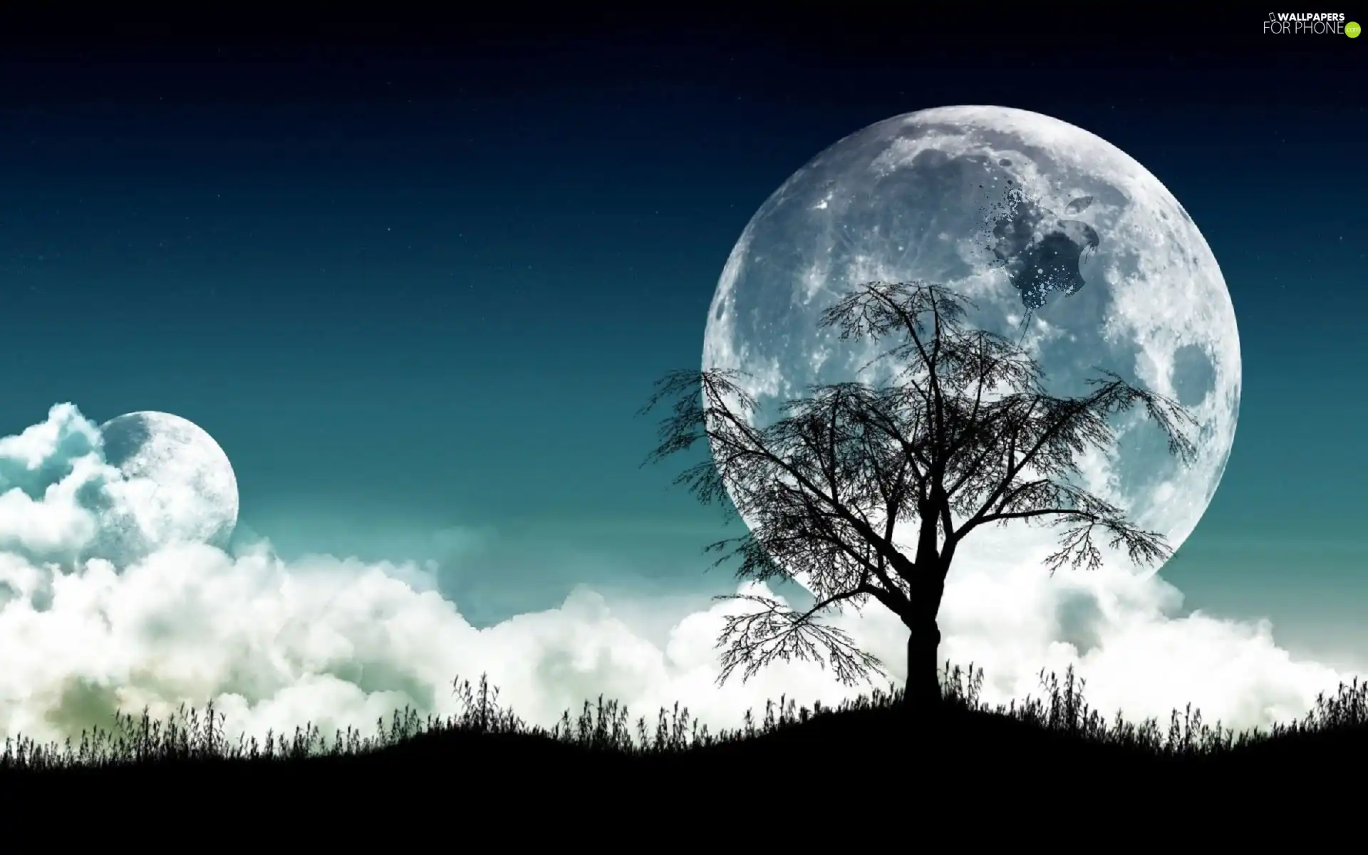 logo, Apple, trees, Night, moon