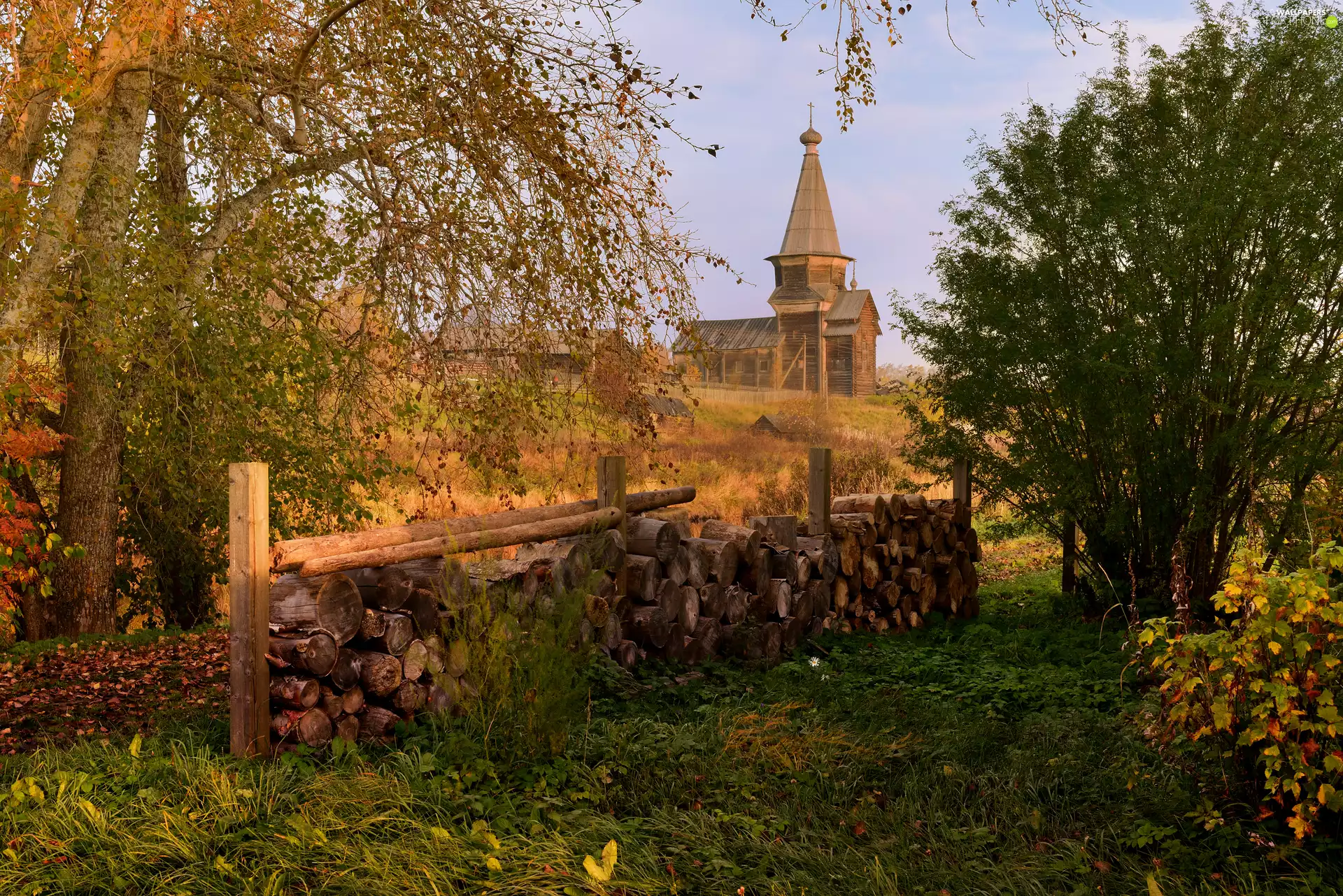 viewes, Cerkiew, cut, Logs, autumn, trees