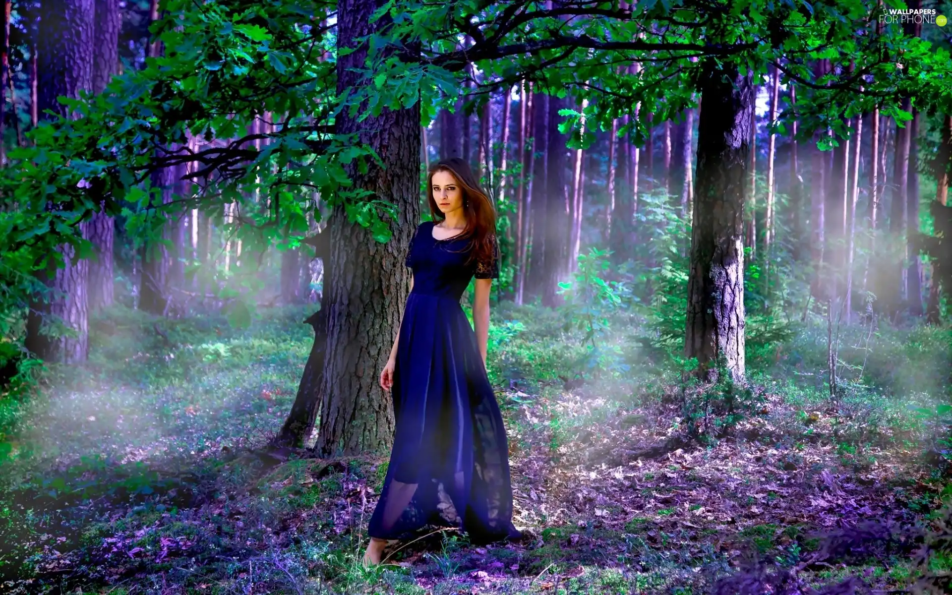 long, dress, Women, Blue, forest