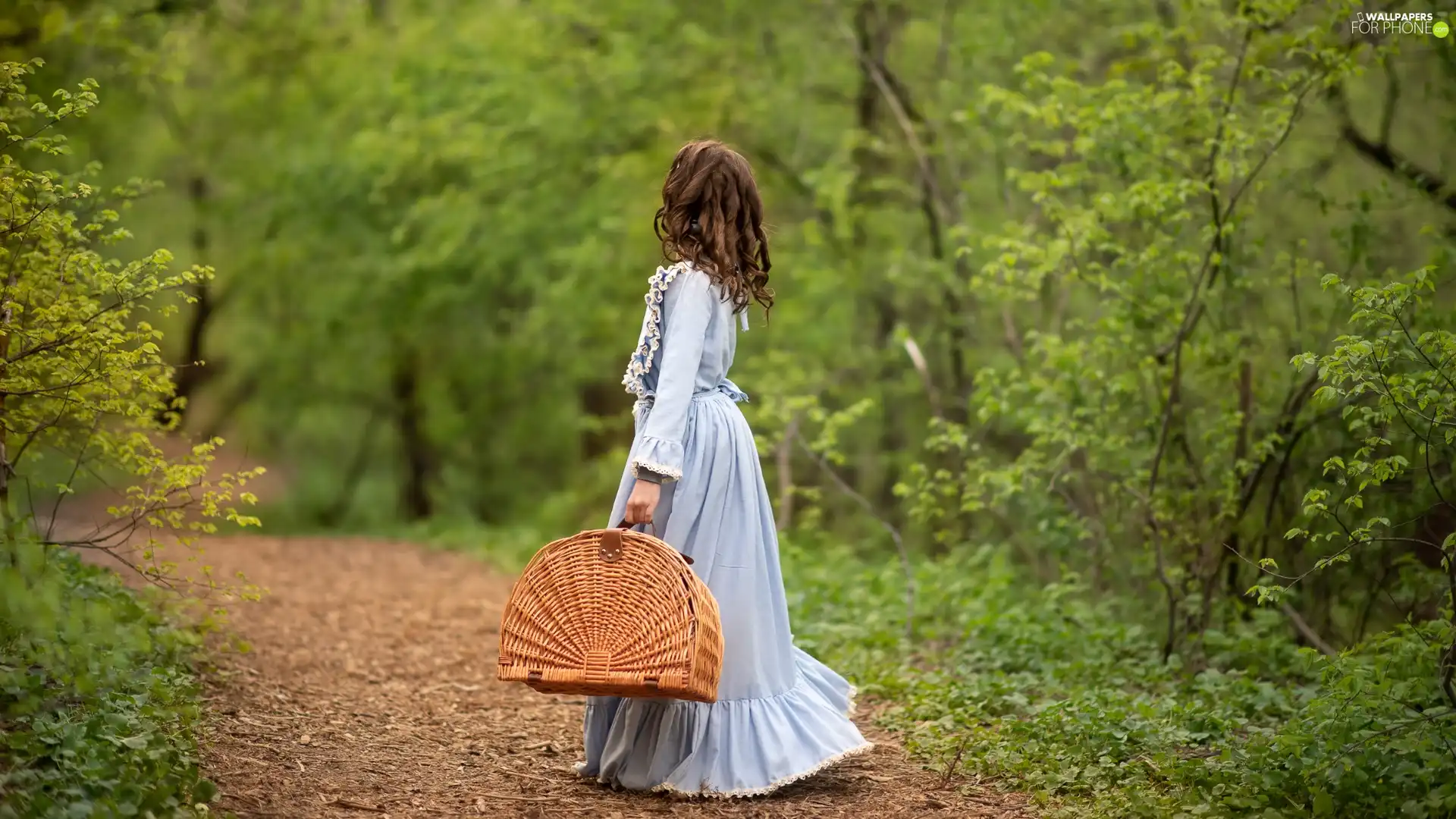 dress, Blue, Path, long, girl, basket, forest