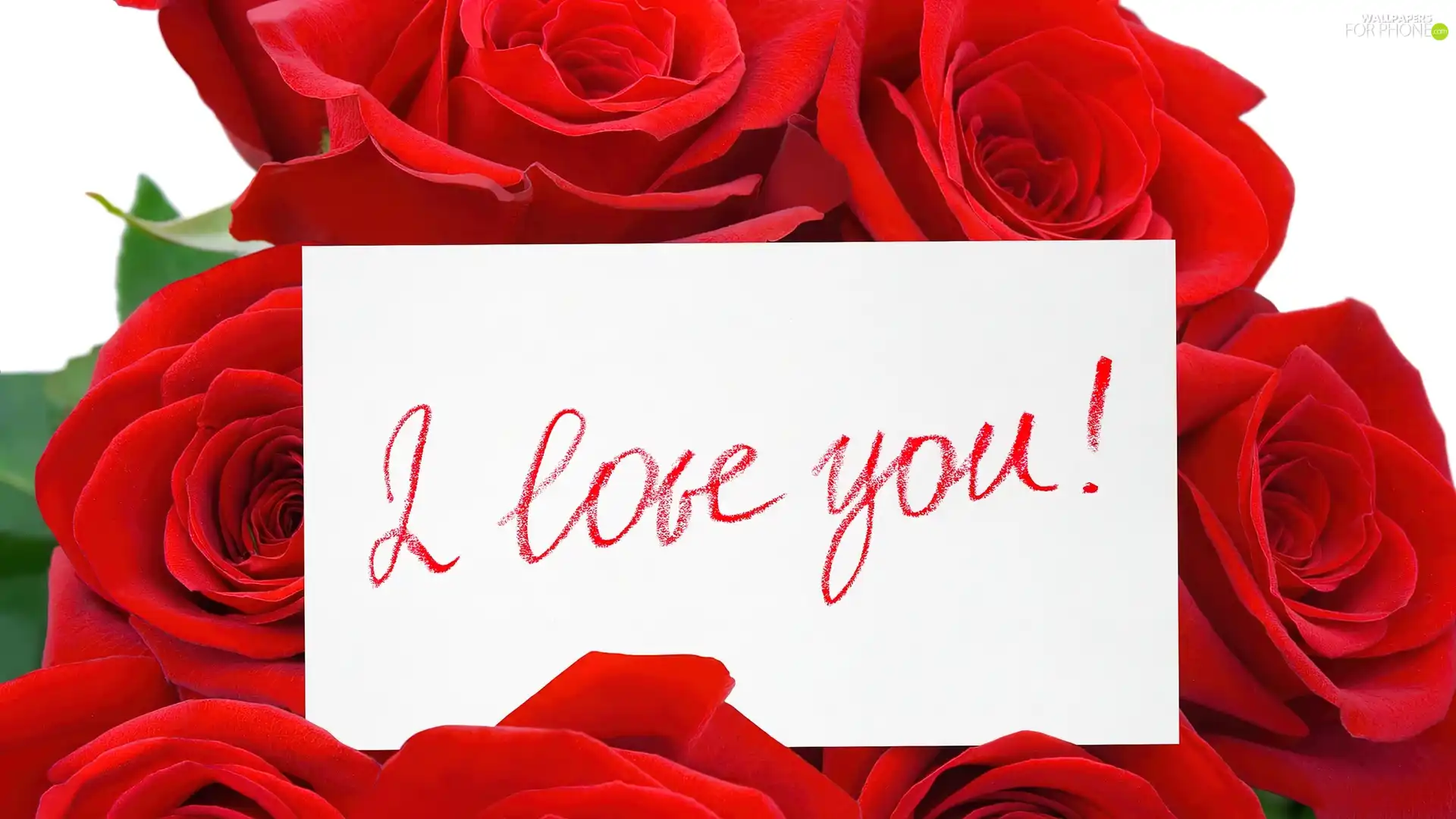 Red, note, love, roses