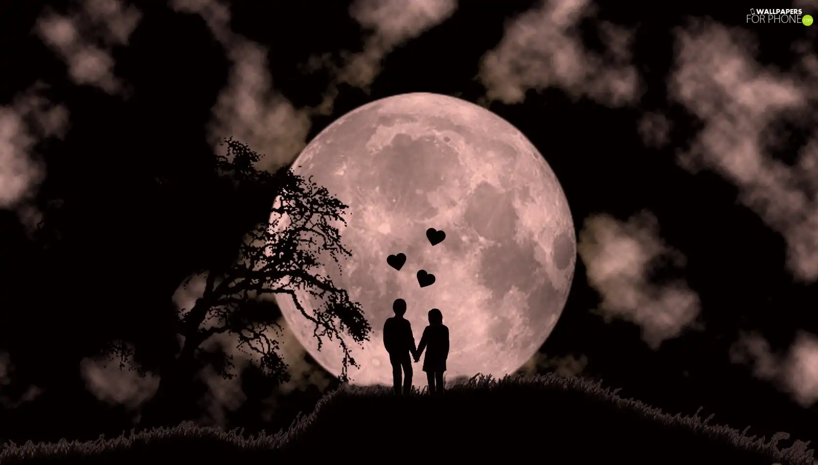 Night, Steam, lovers, moon